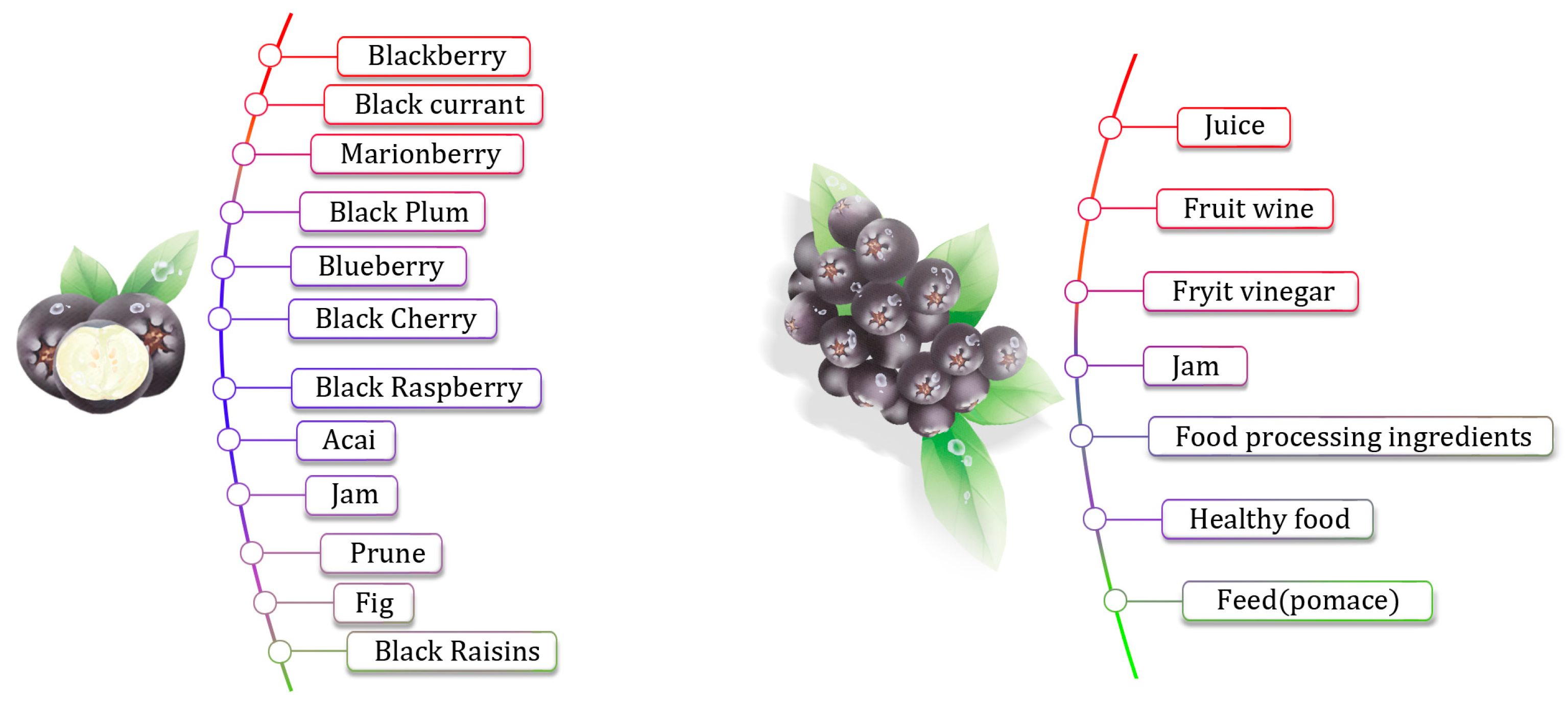 Molecules 29 01388 g005