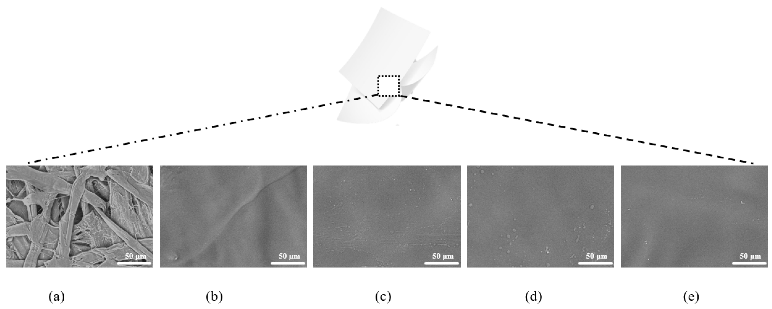 Molecules 29 01394 g001