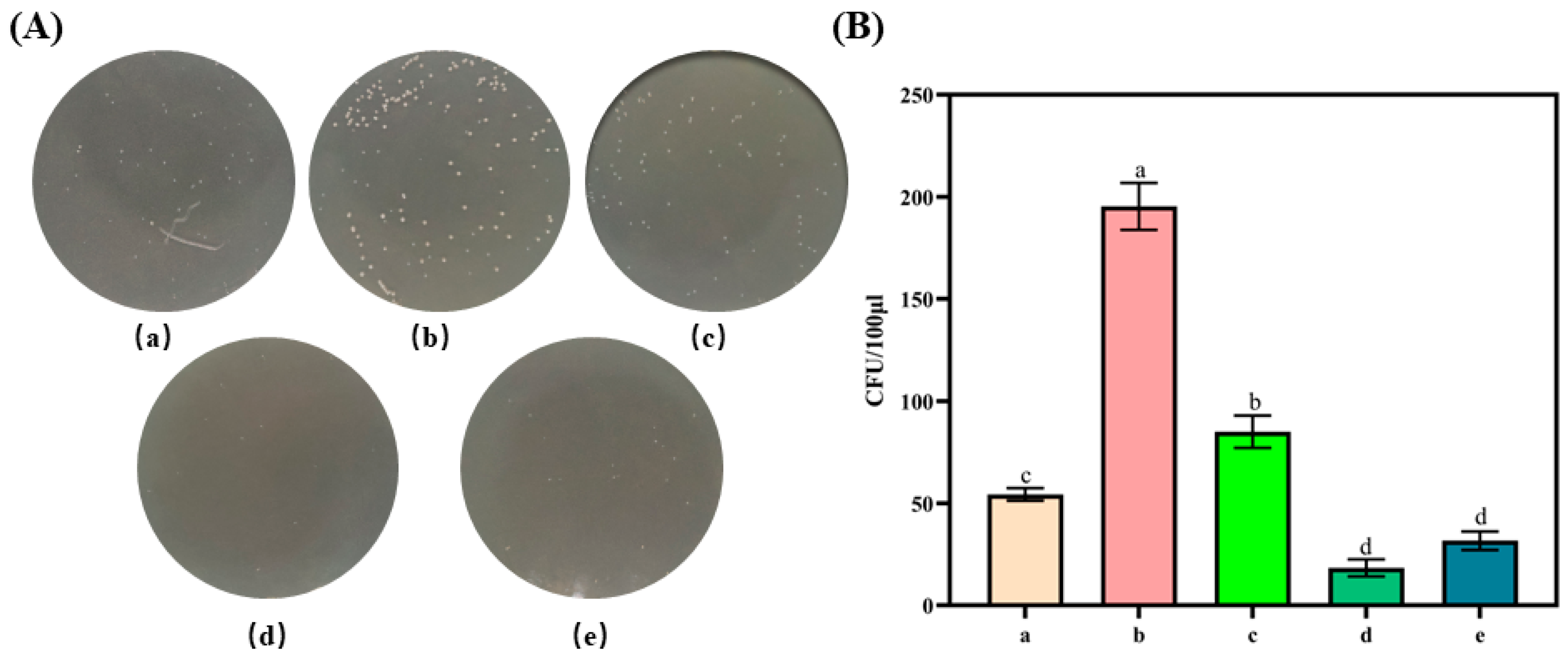 Molecules 29 01394 g004