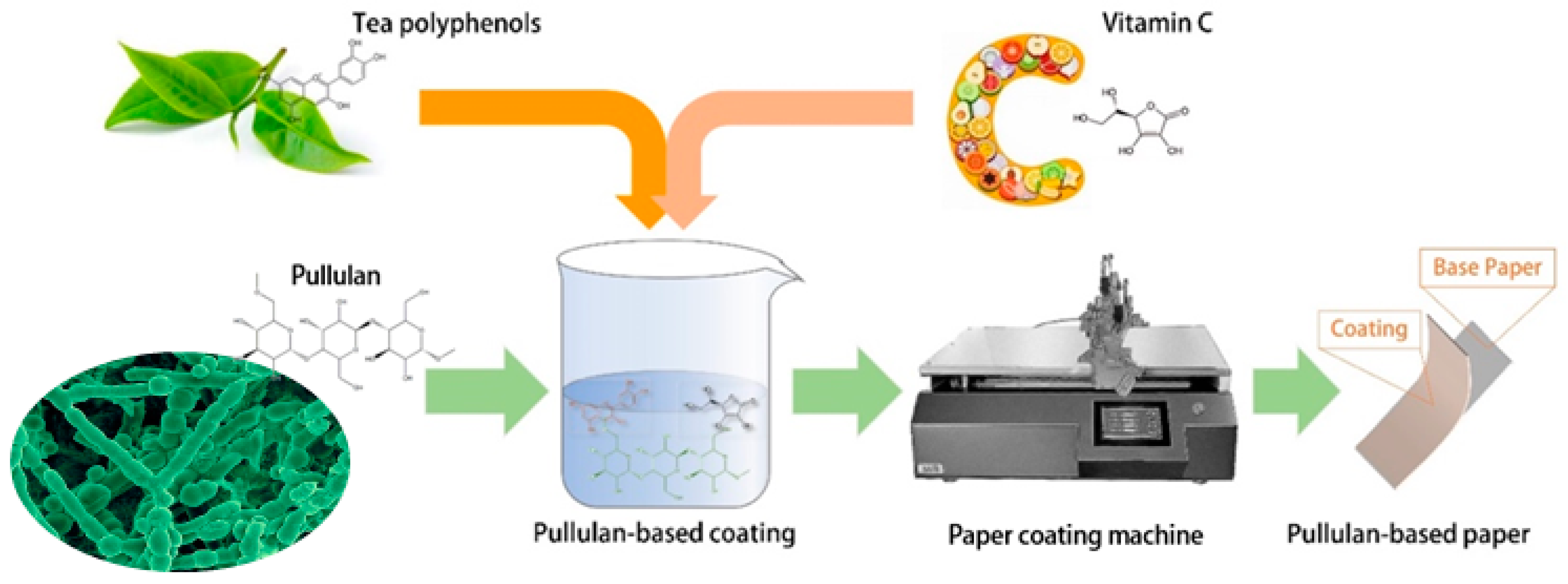 Molecules 29 01394 g011