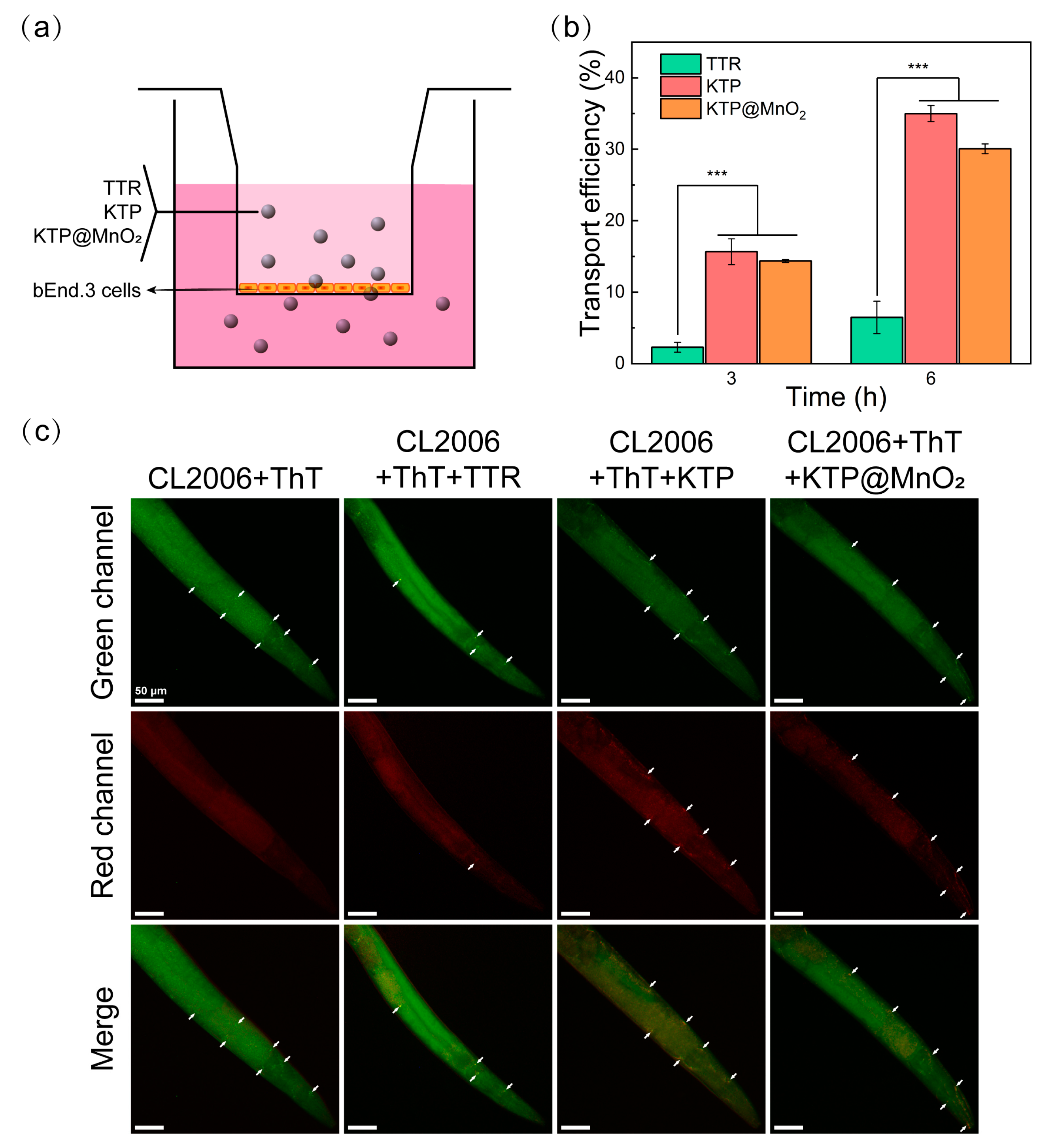 Molecules 29 01405 g004
