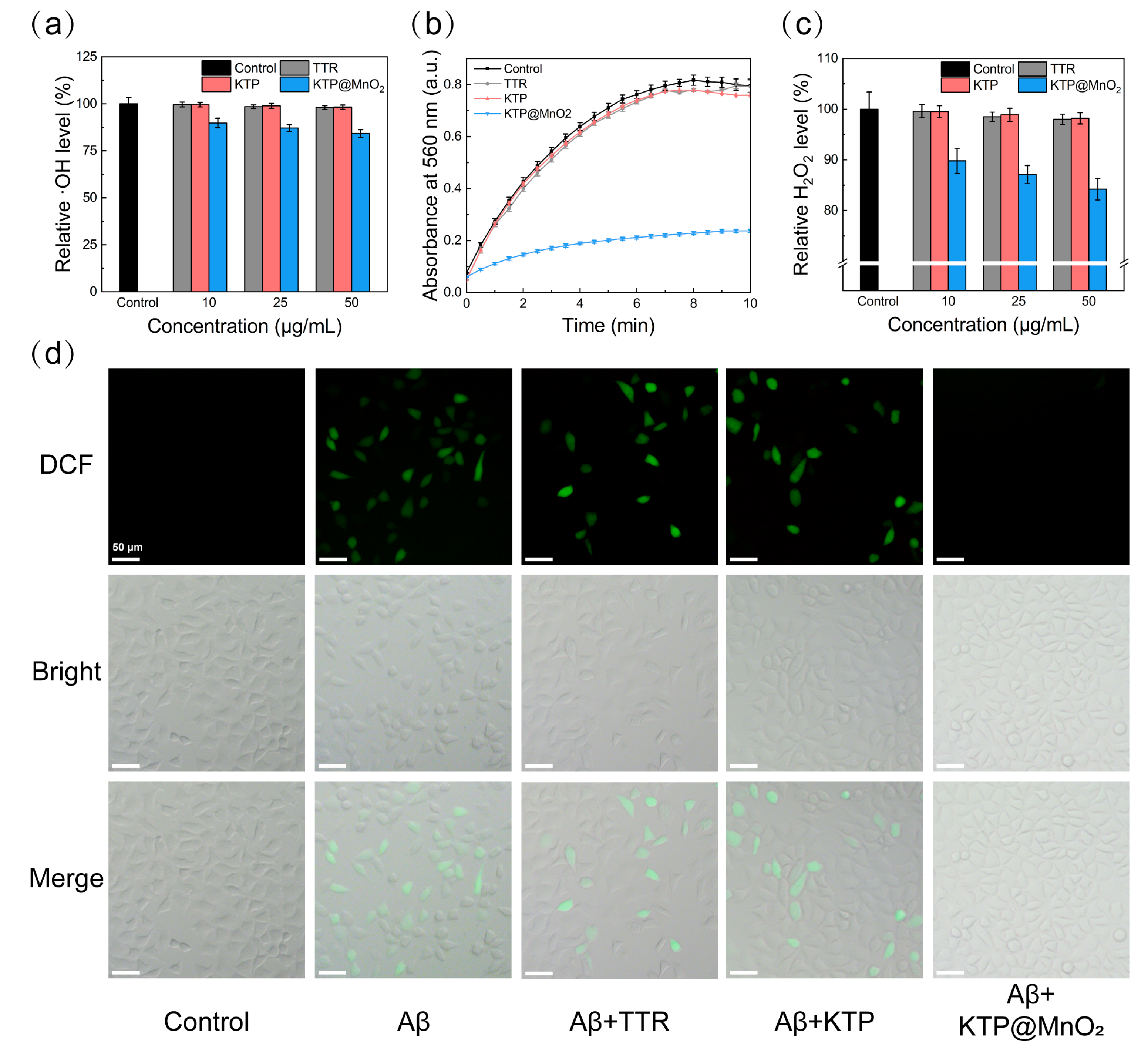Molecules 29 01405 g005