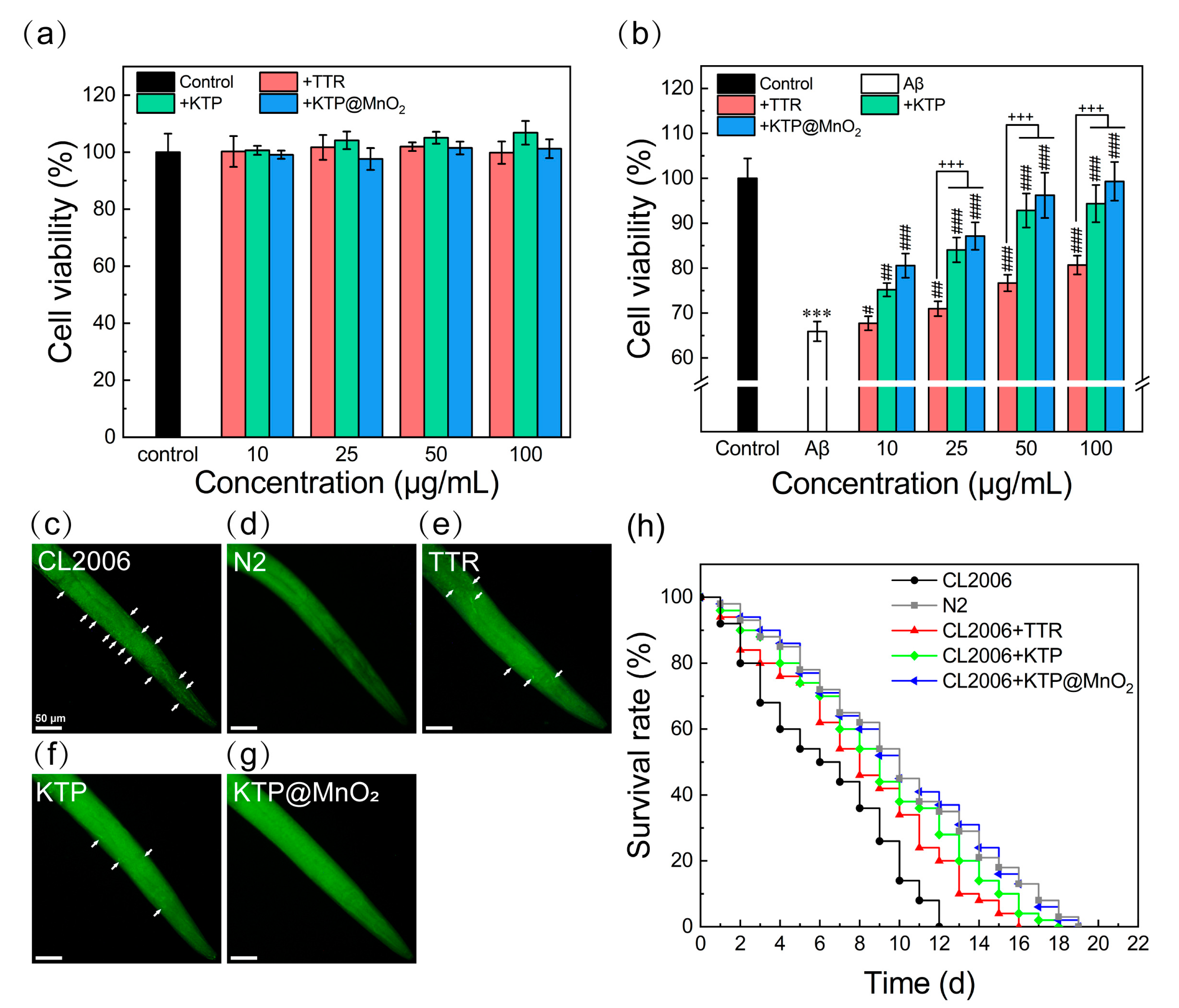 Molecules 29 01405 g006