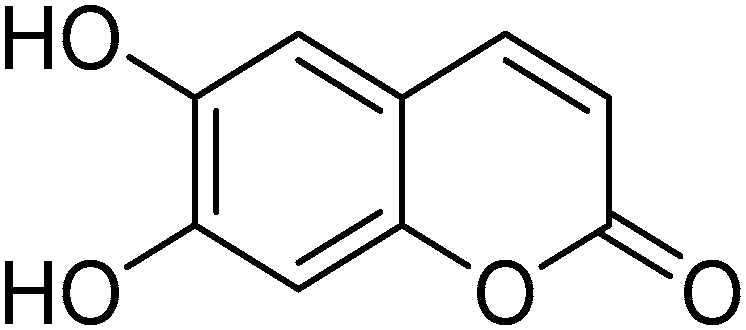 Molecules 29 01415 g001