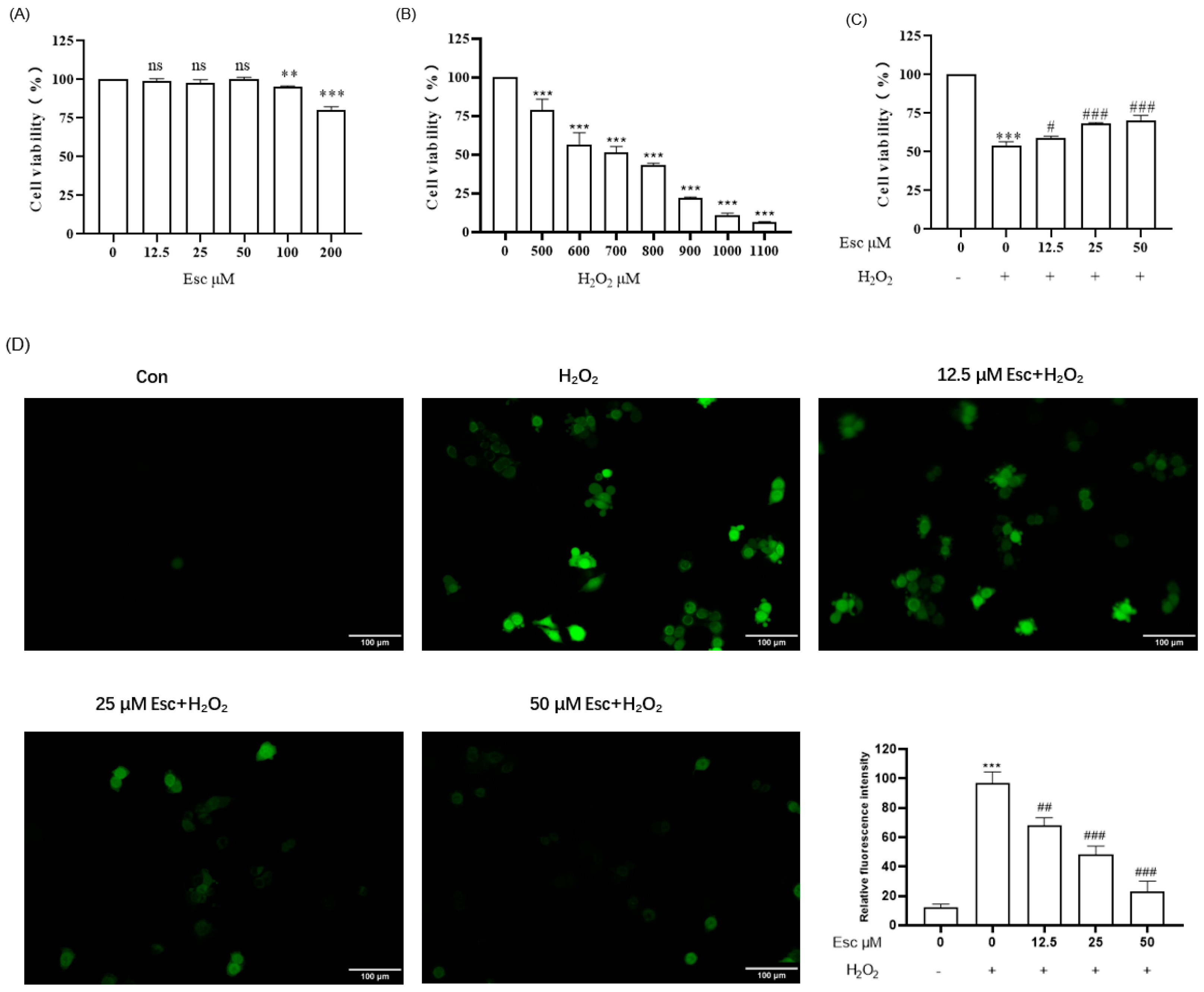 Molecules 29 01415 g002