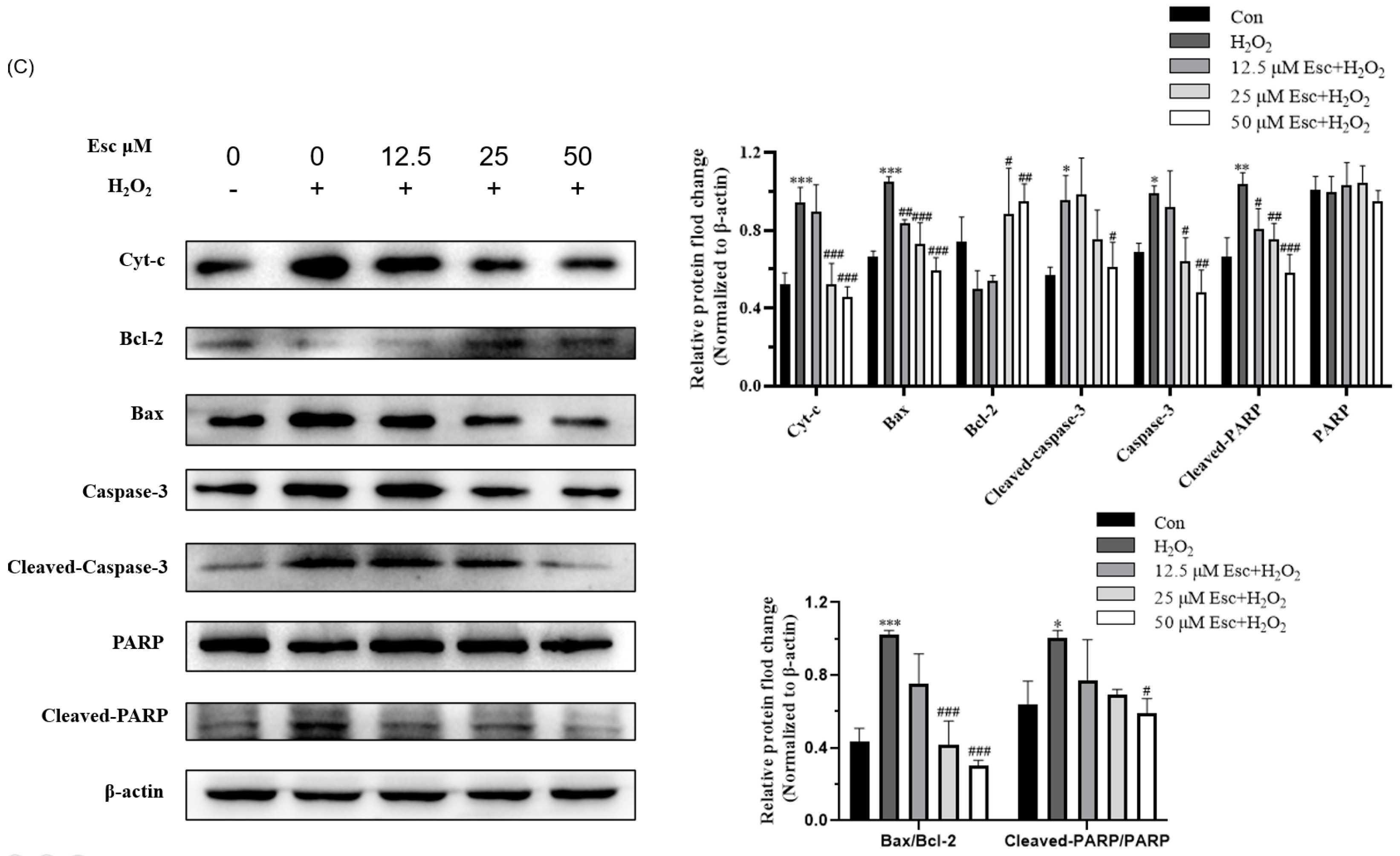 Molecules 29 01415 g003b