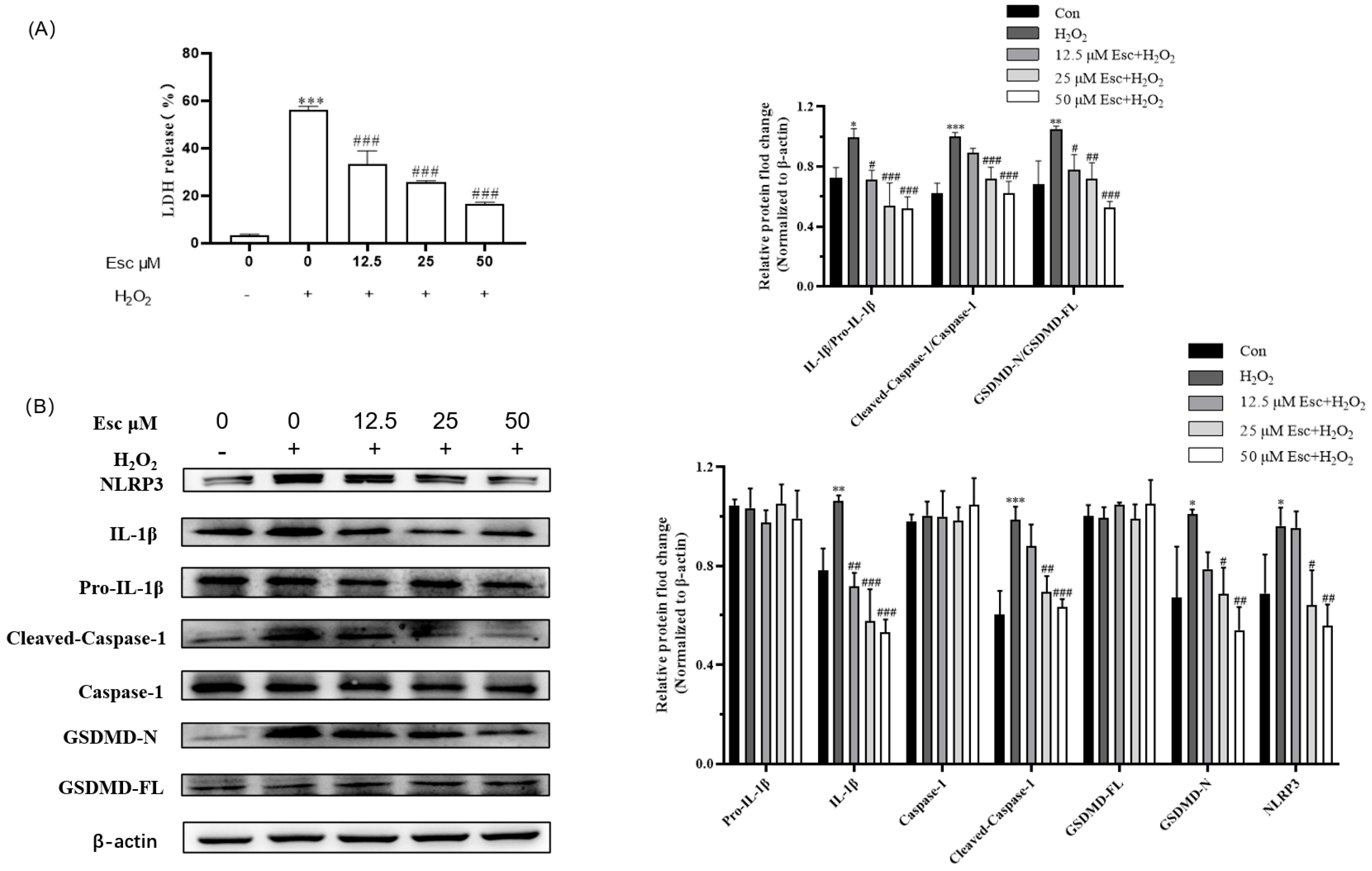 Molecules 29 01415 g004