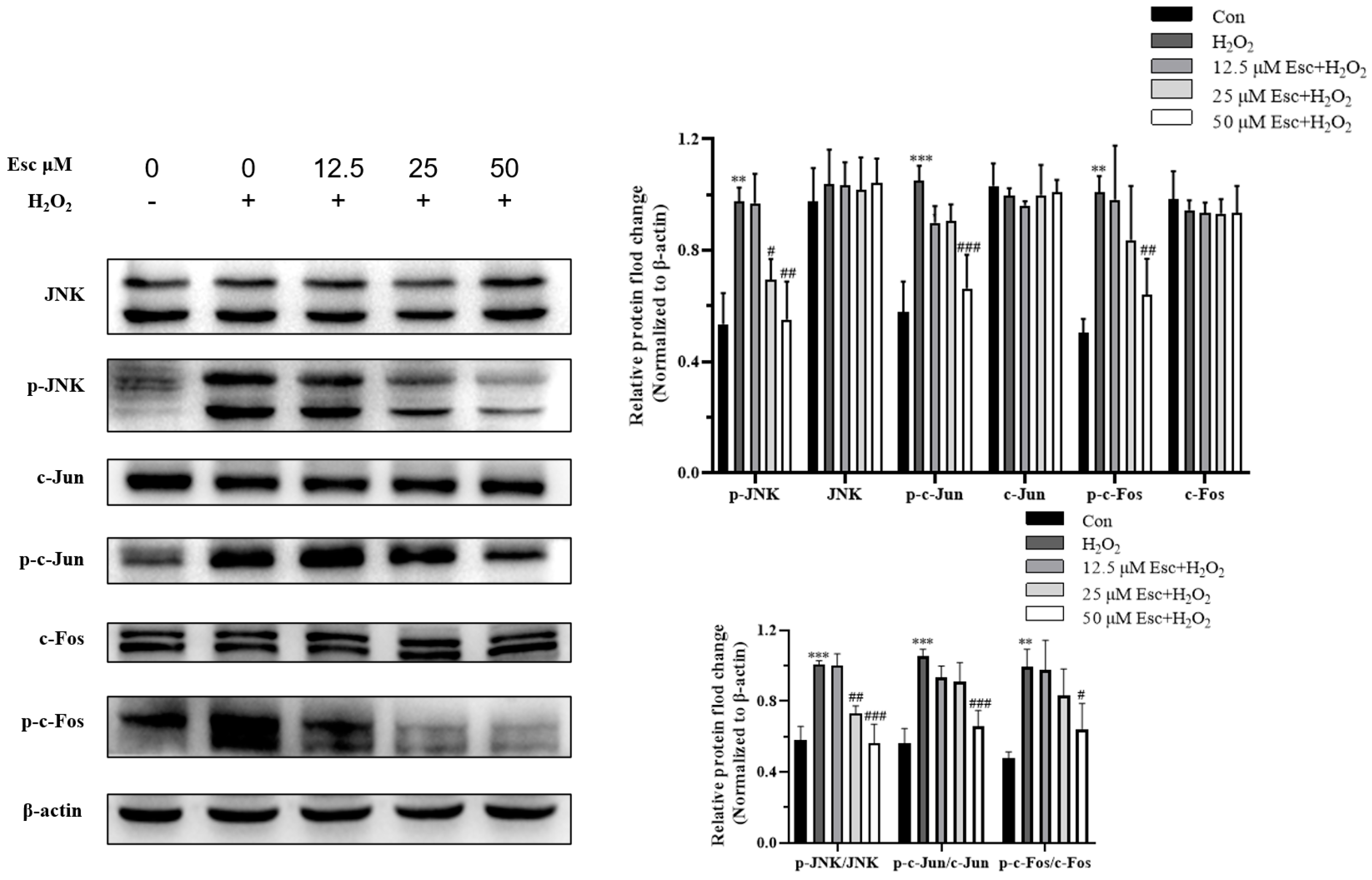 Molecules 29 01415 g005
