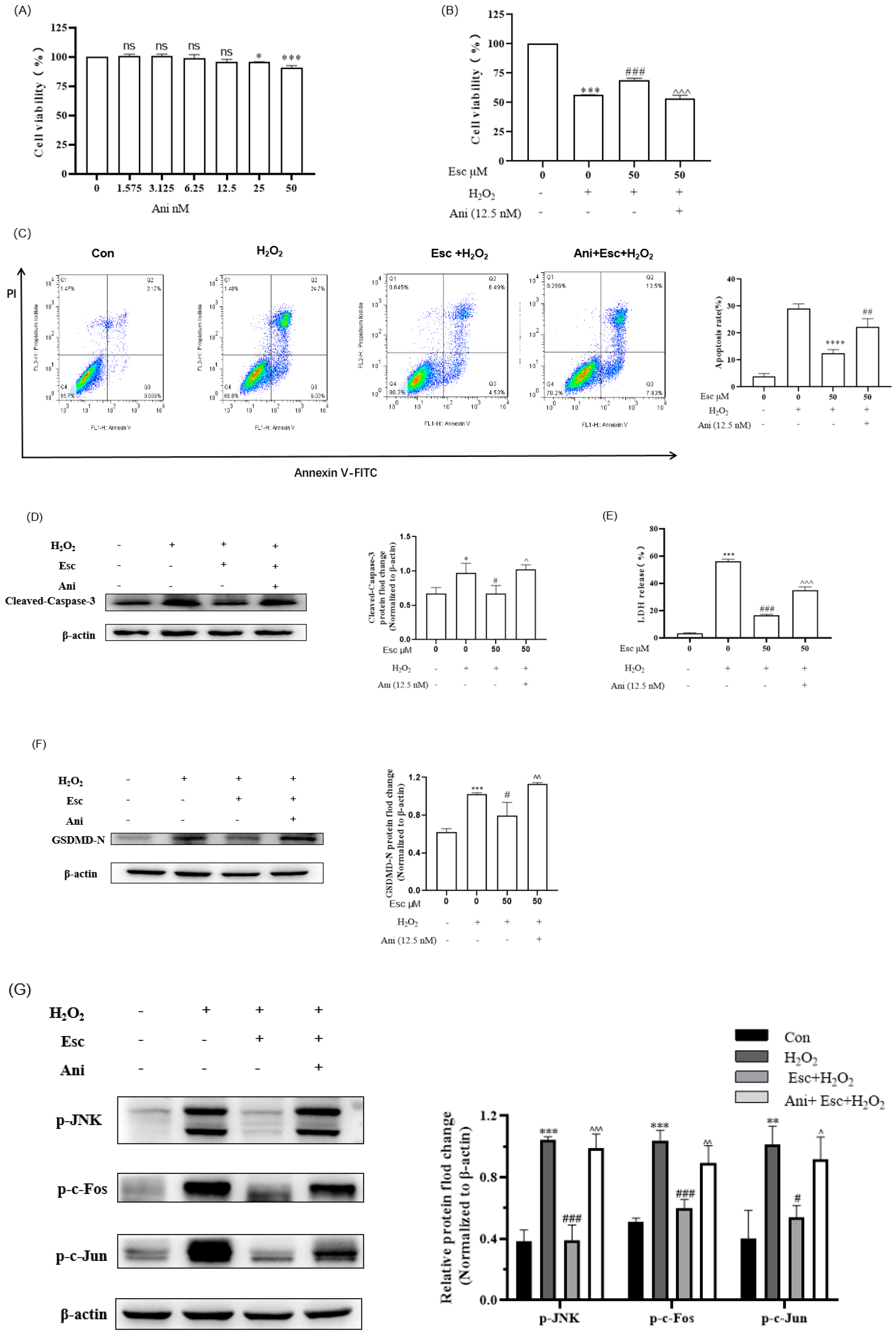 Molecules 29 01415 g006