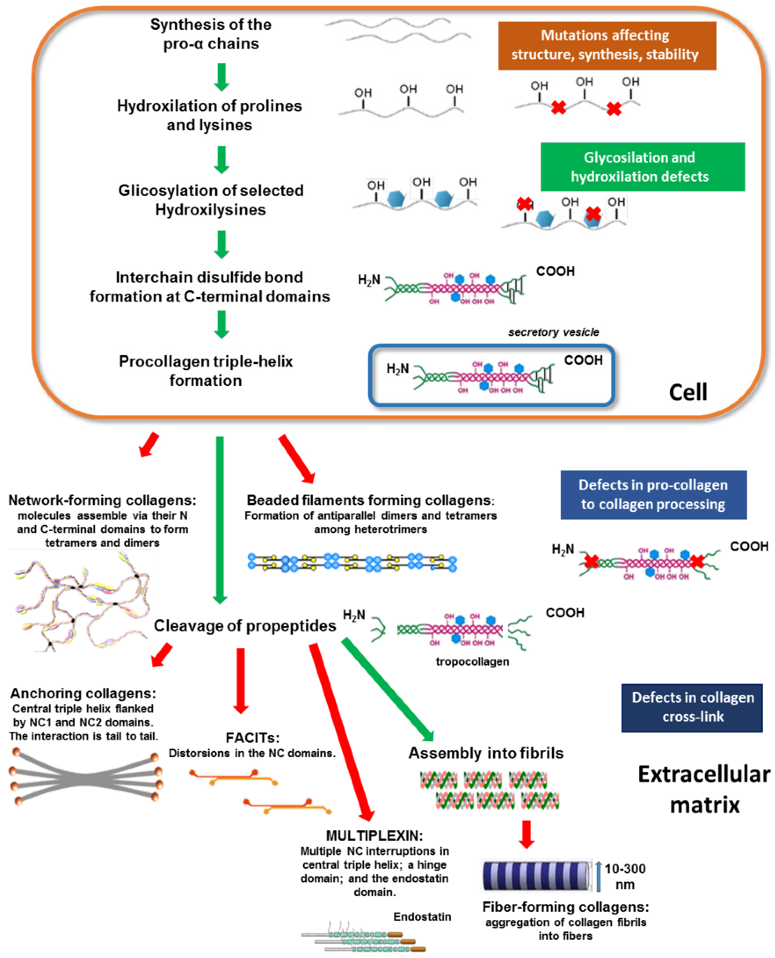 Molecules 29 01417 g003
