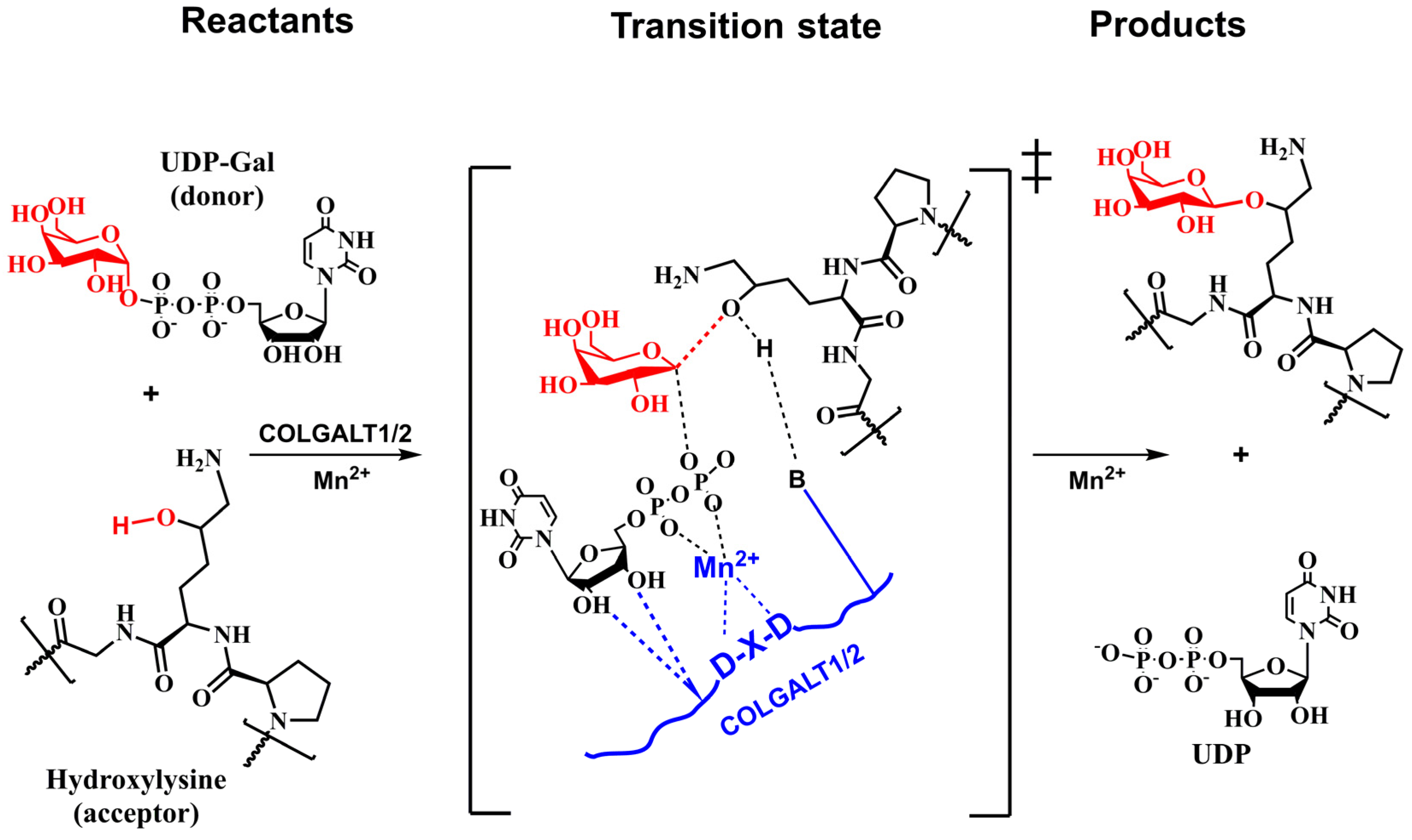 Molecules 29 01417 g010