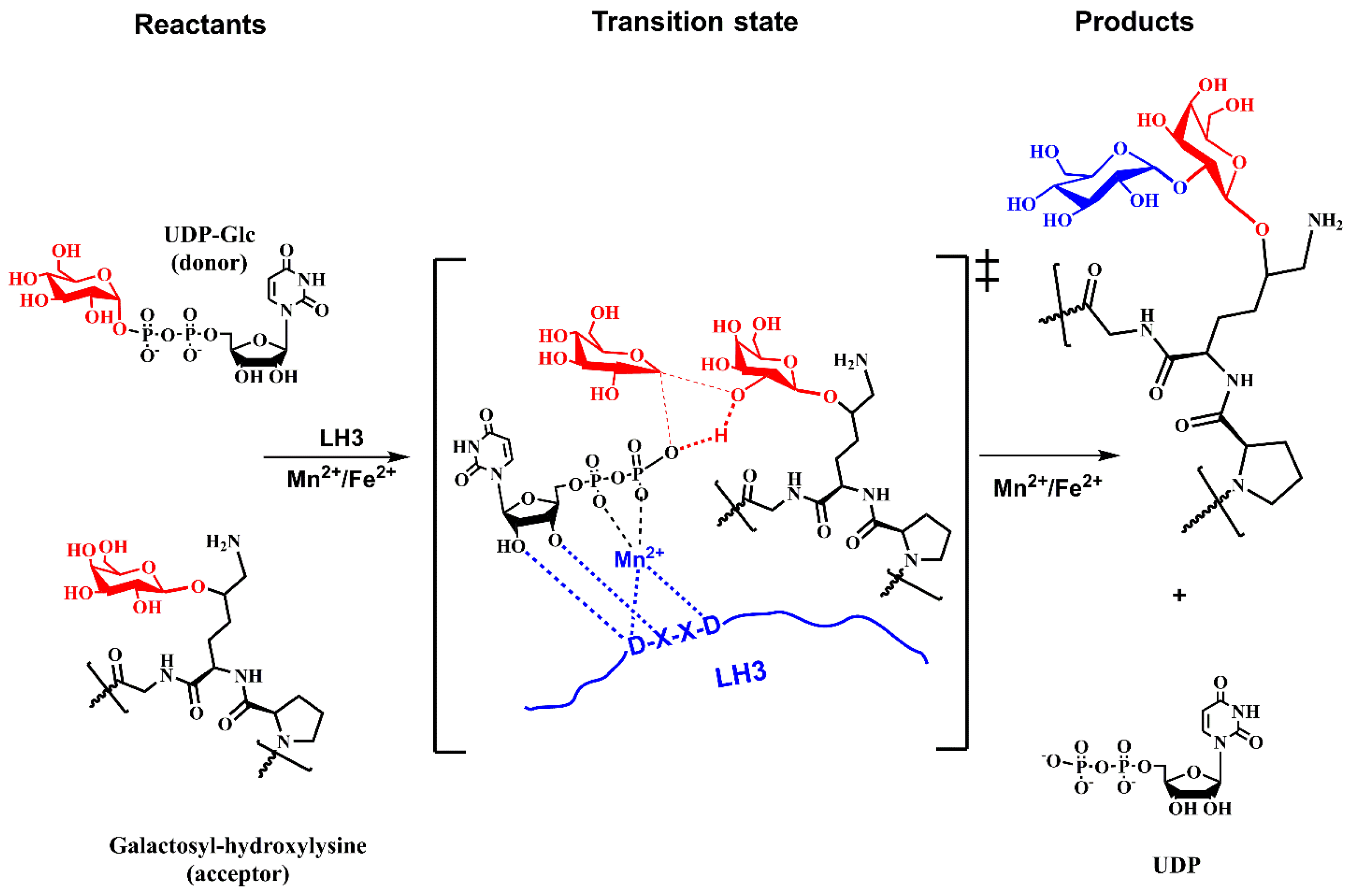 Molecules 29 01417 g013