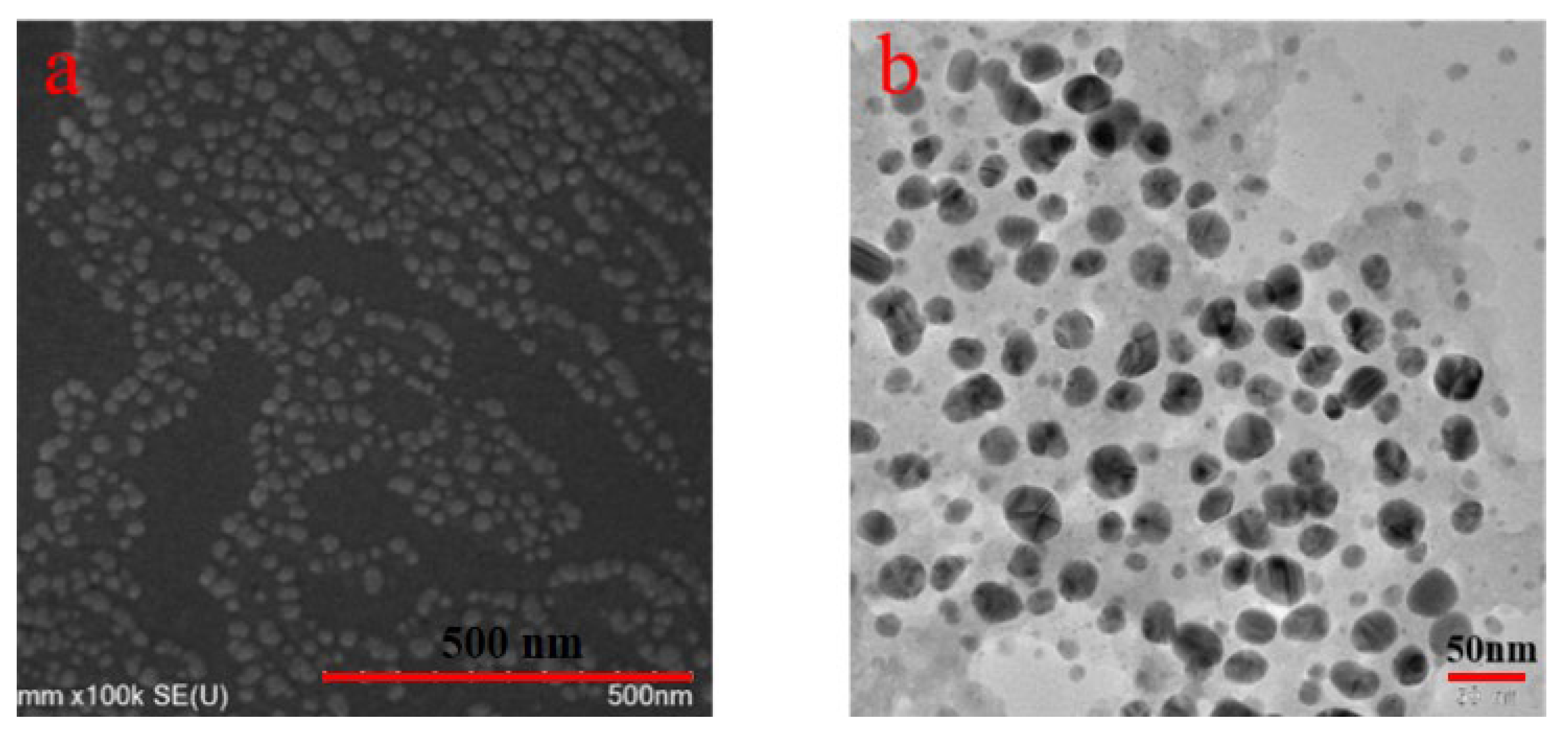 Molecules 29 01419 g006