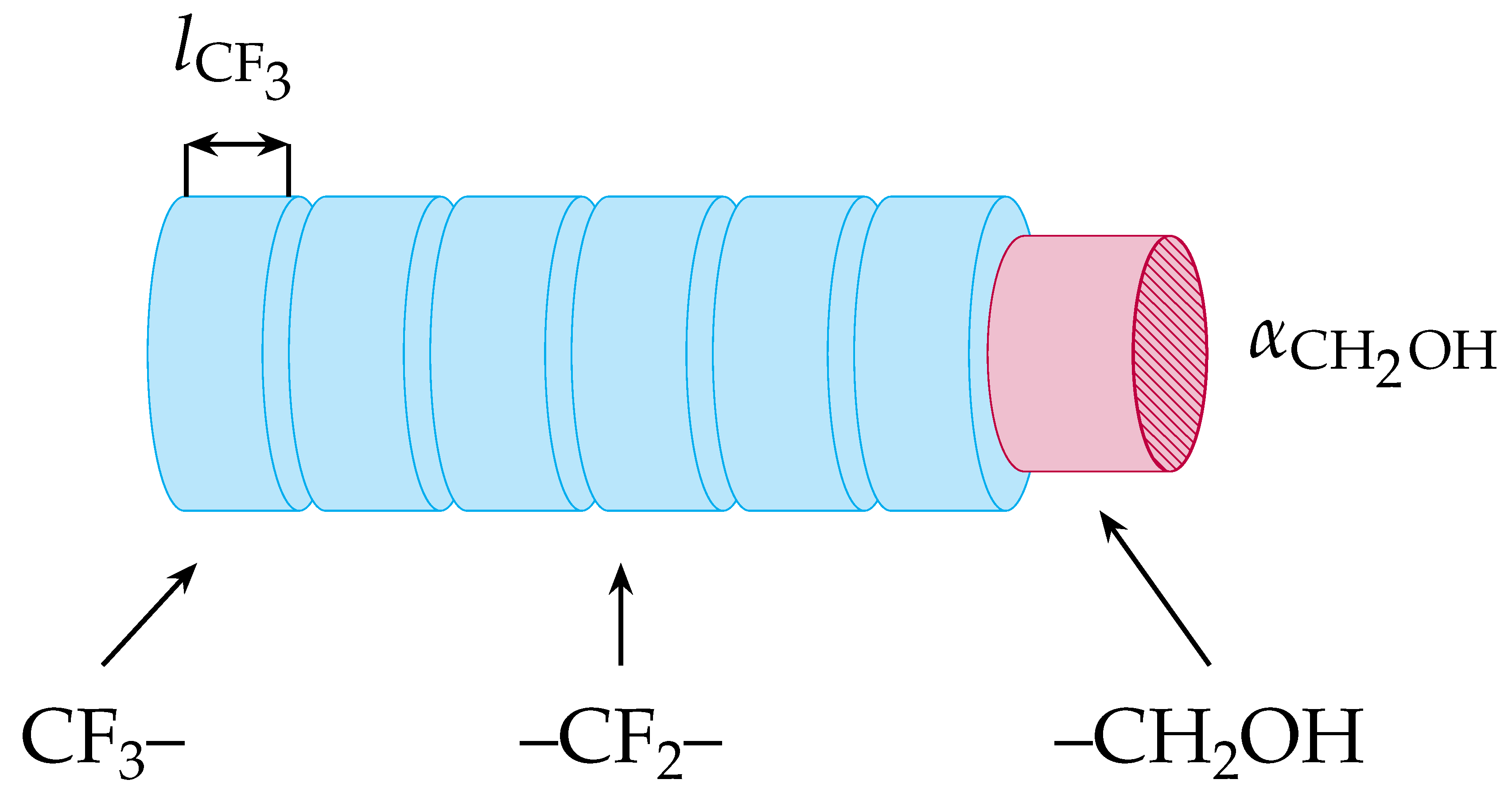 Molecules 29 01421 g001