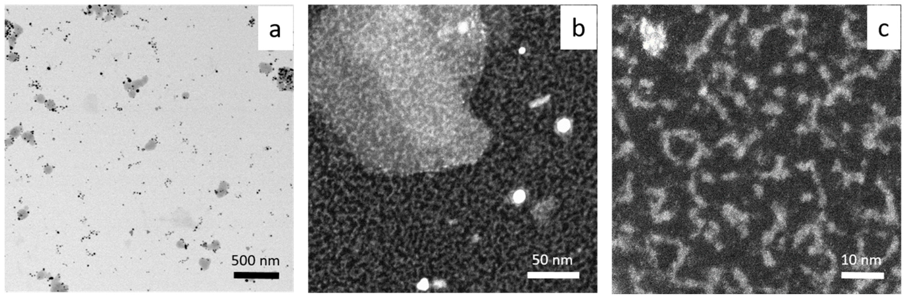 Molecules 29 01426 g006