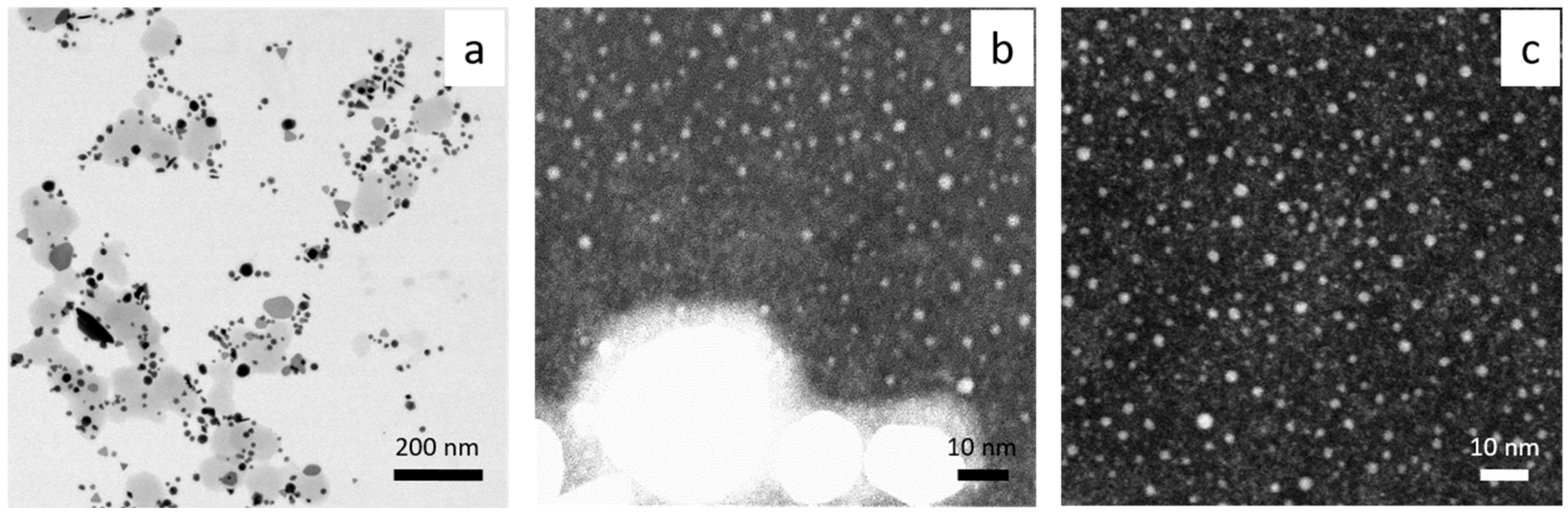 Molecules 29 01426 g007