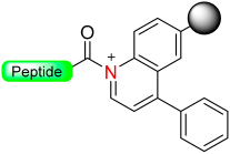 Molecules 29 01429 i015 Molecules 29 01429 i015