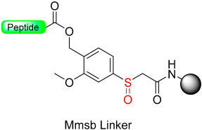 Molecules 29 01429 i029 Molecules 29 01429 i029
