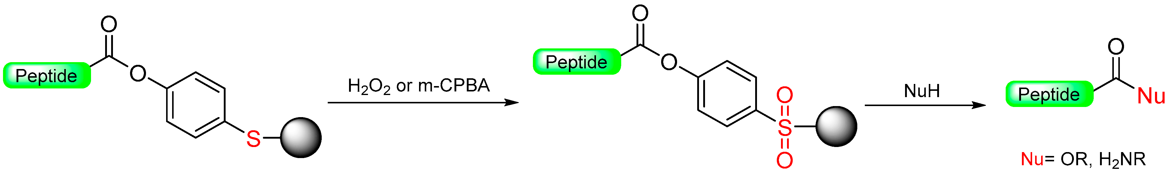 Molecules 29 01429 sch004