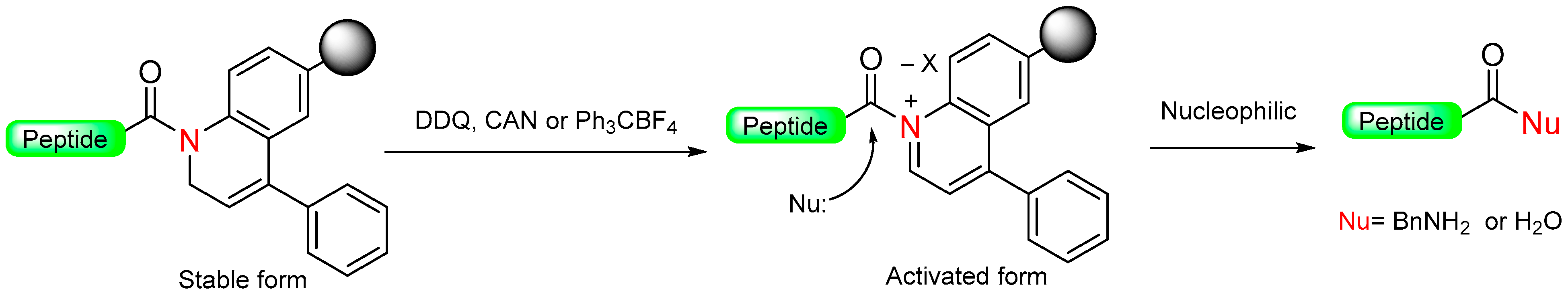 Molecules 29 01429 sch007