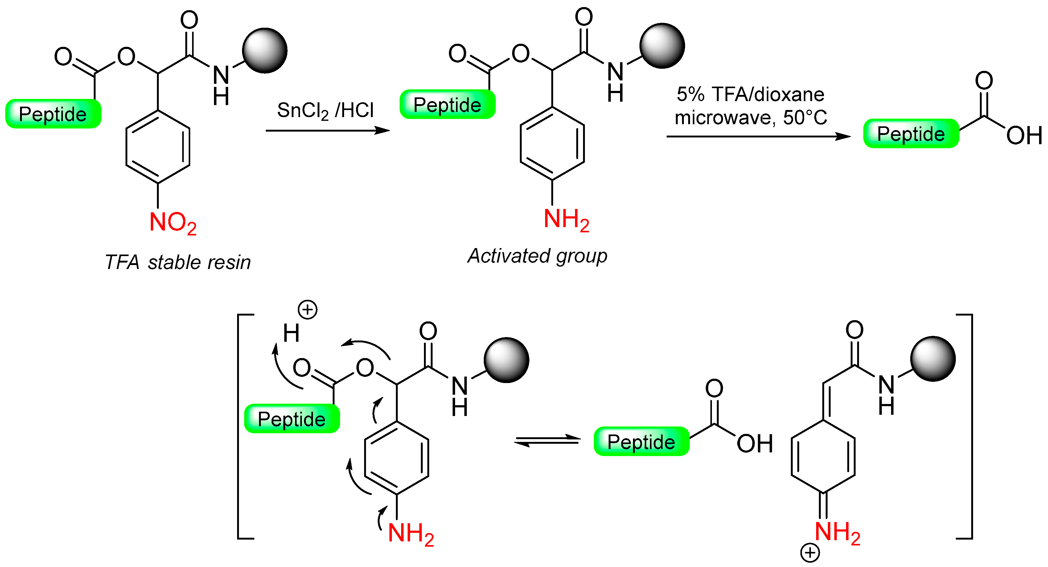 Molecules 29 01429 sch011