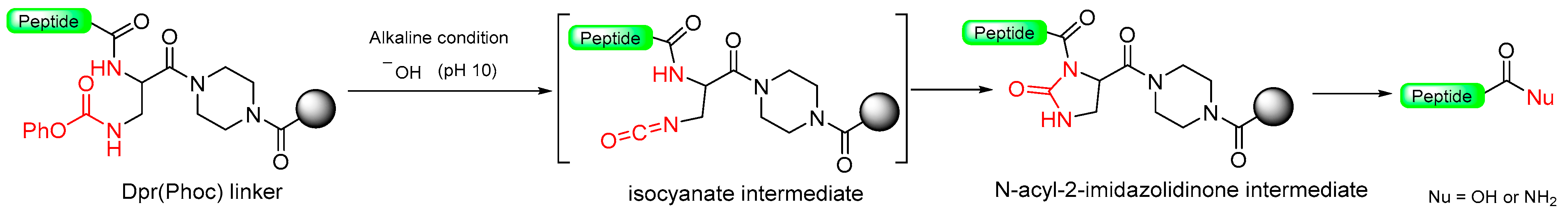Molecules 29 01429 sch012