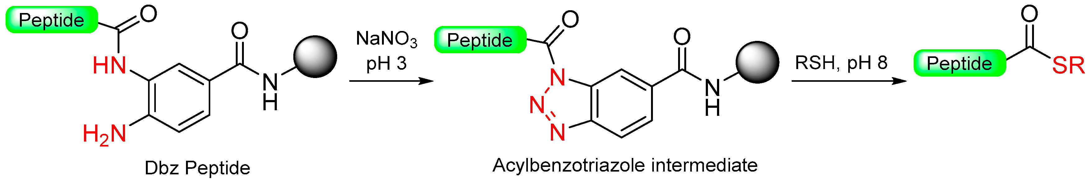 Molecules 29 01429 sch014