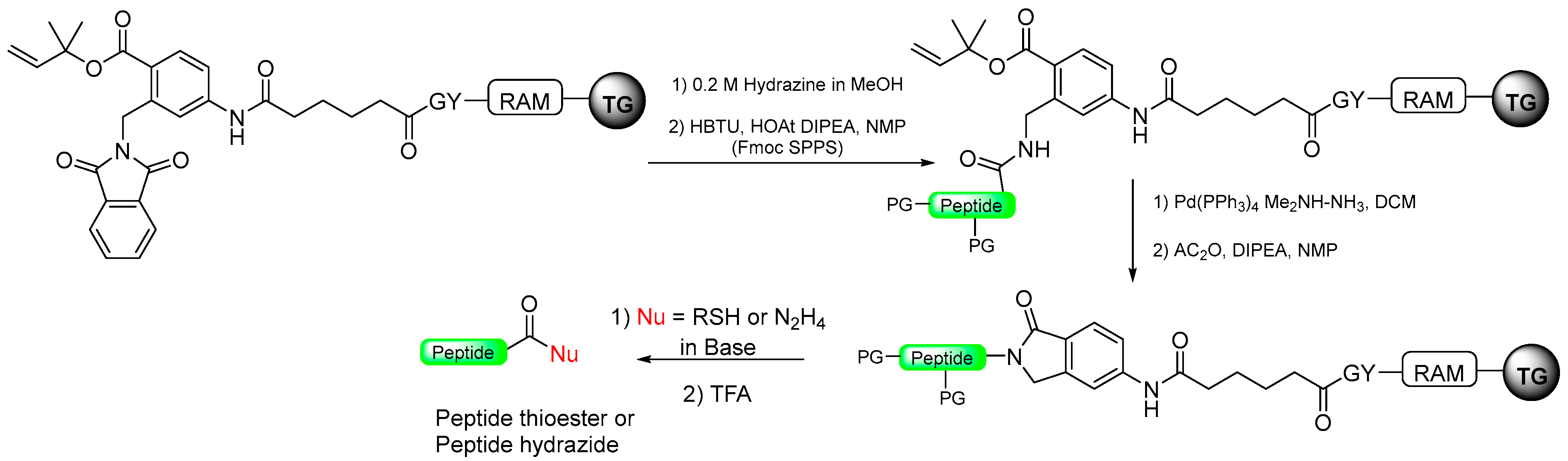 Molecules 29 01429 sch016