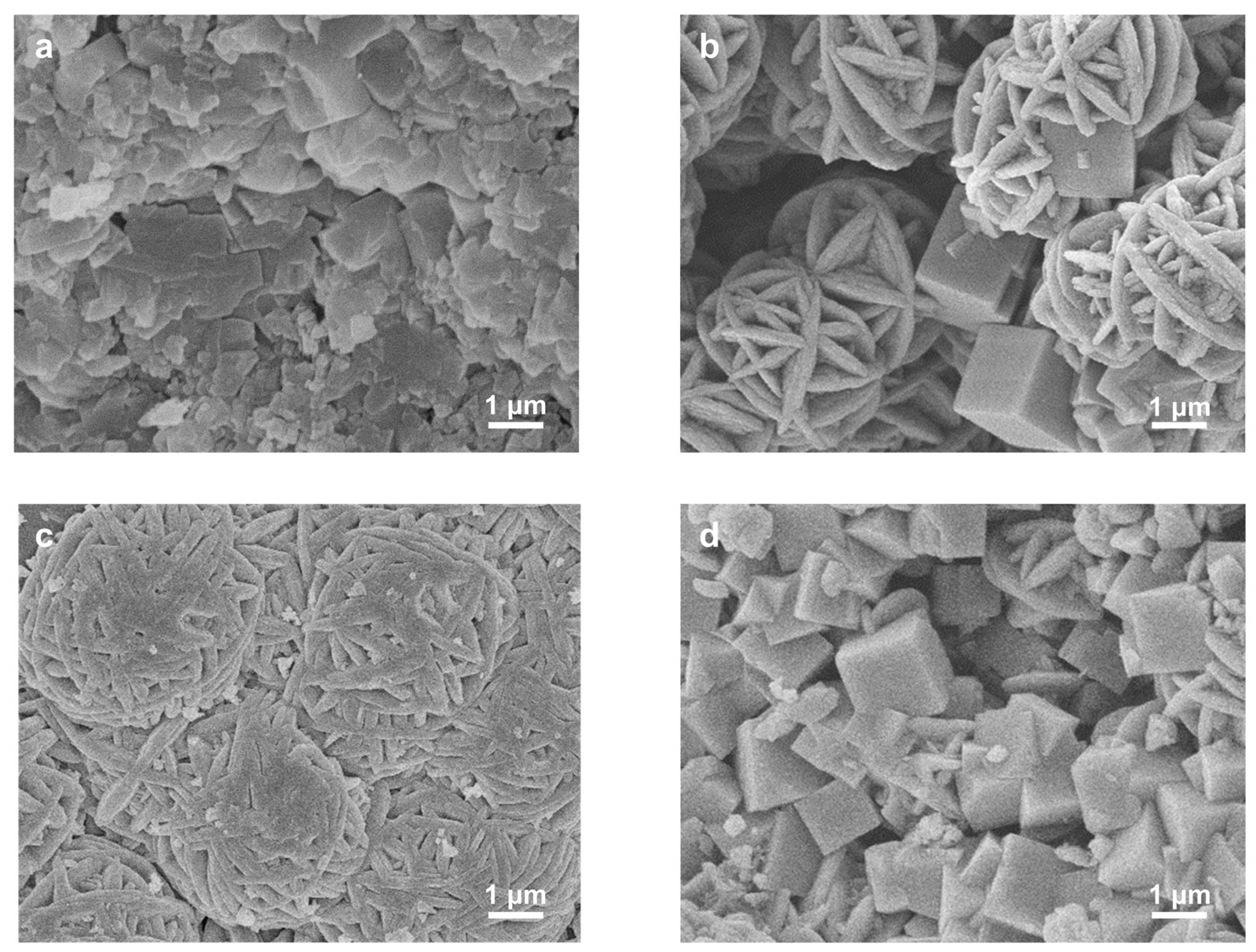 Molecules 29 01432 g006