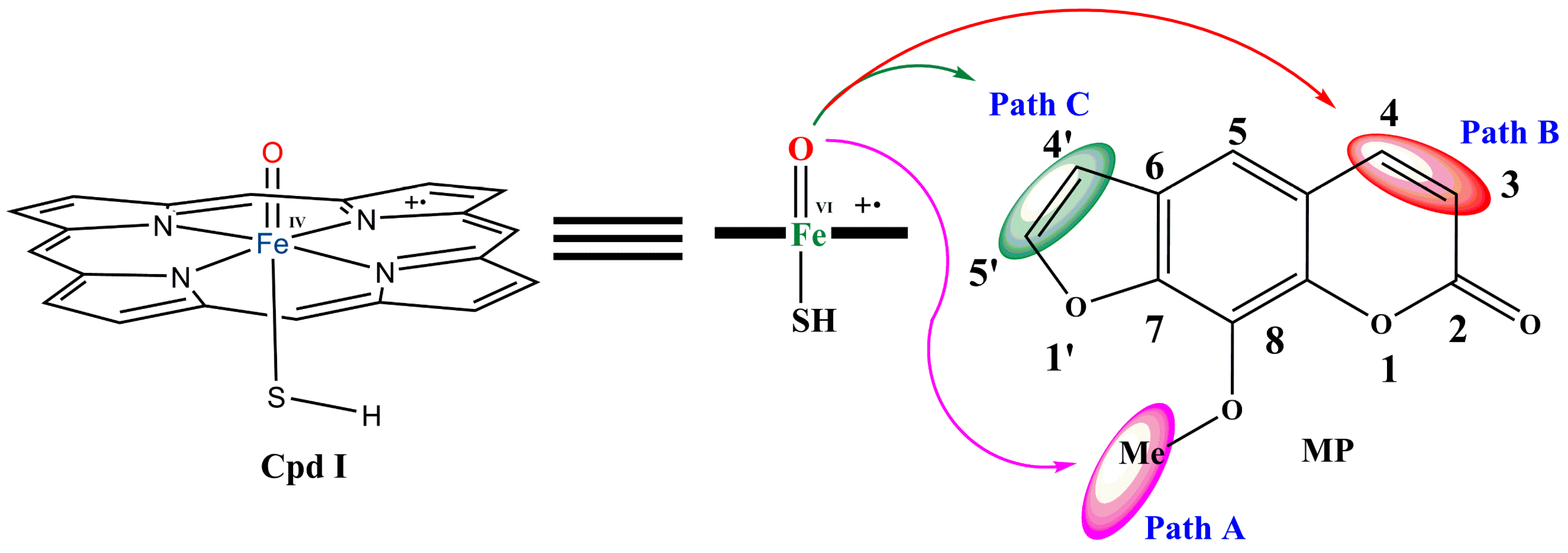 Molecules 29 01433 g003