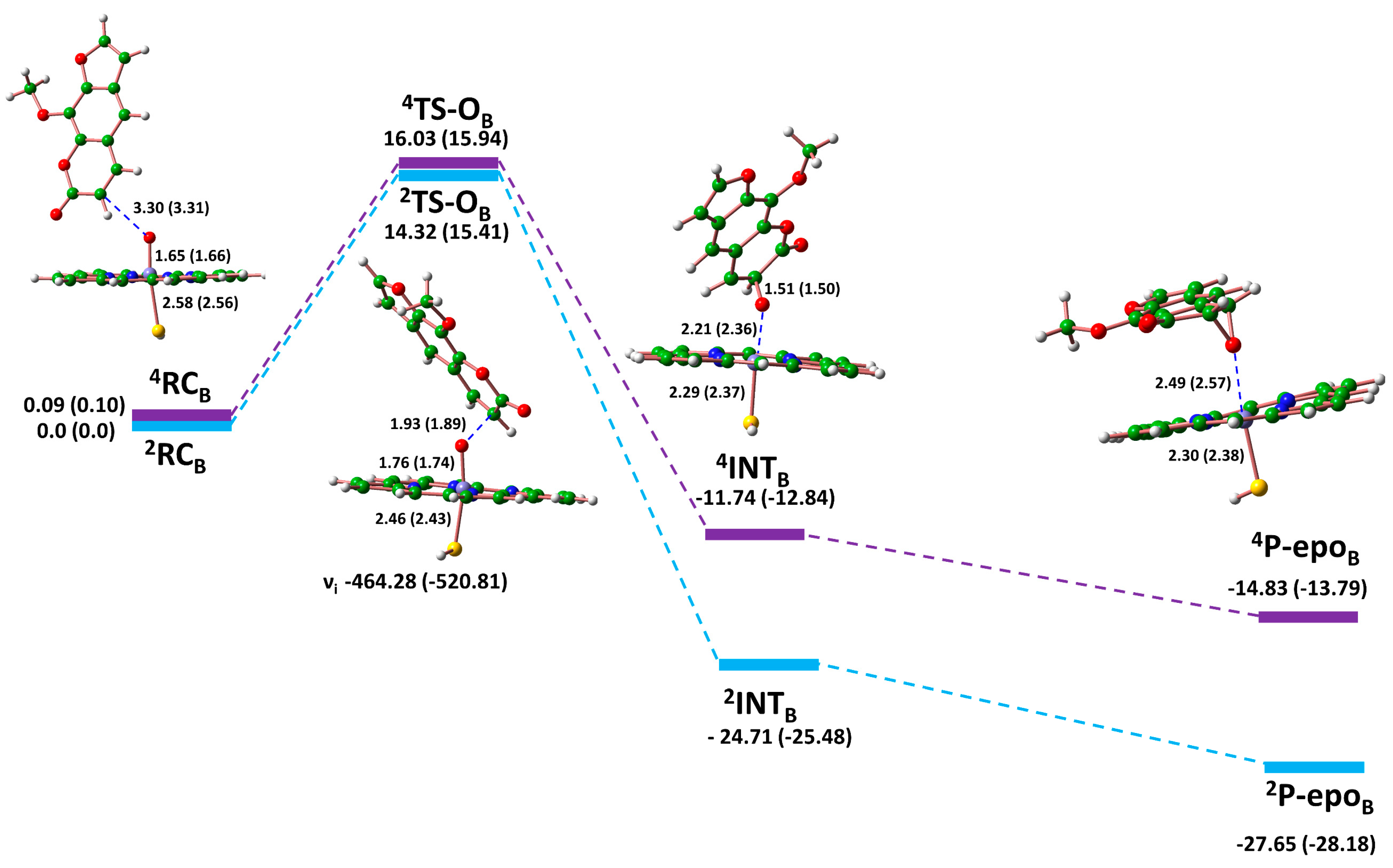 Molecules 29 01433 g005