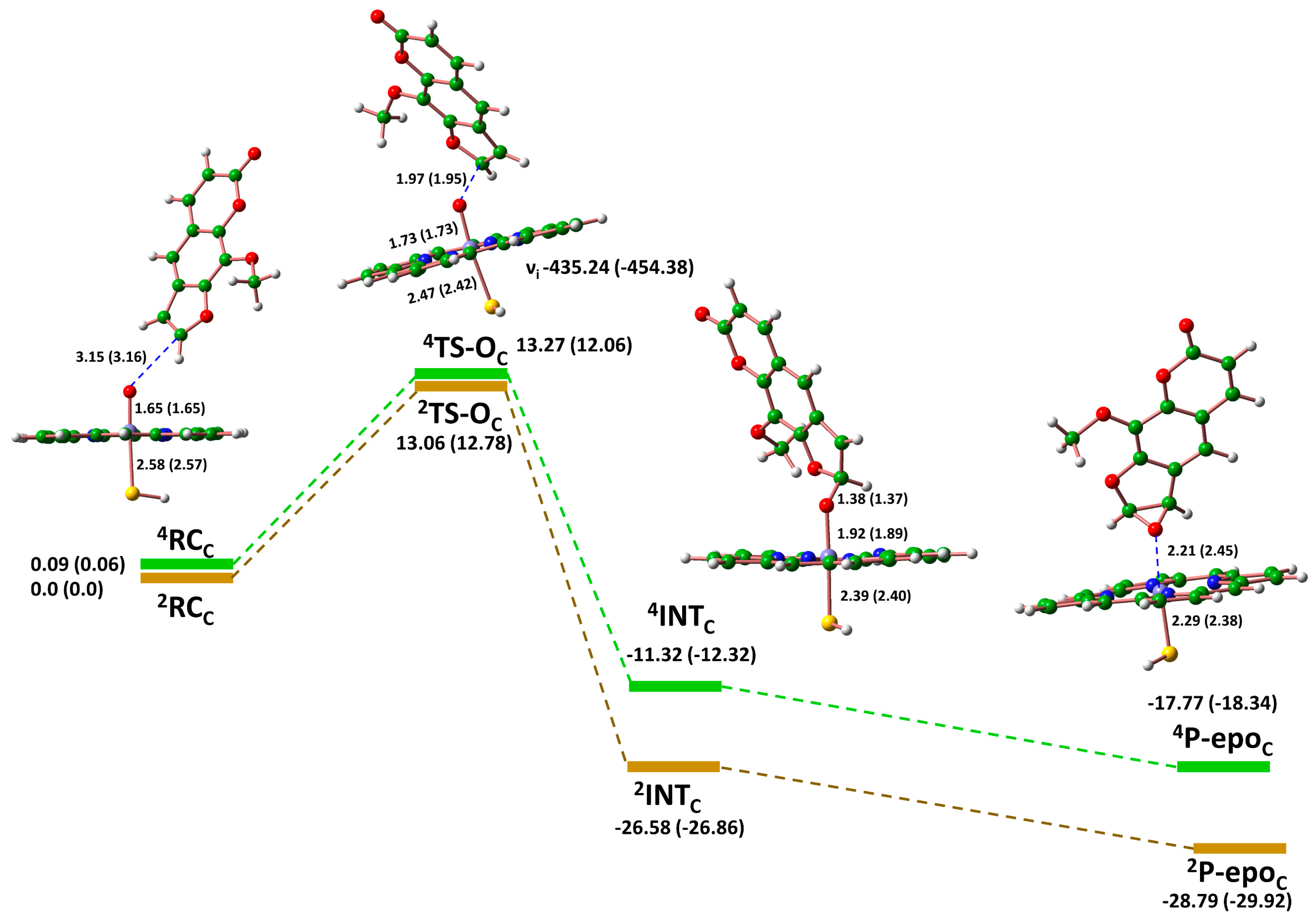 Molecules 29 01433 g006