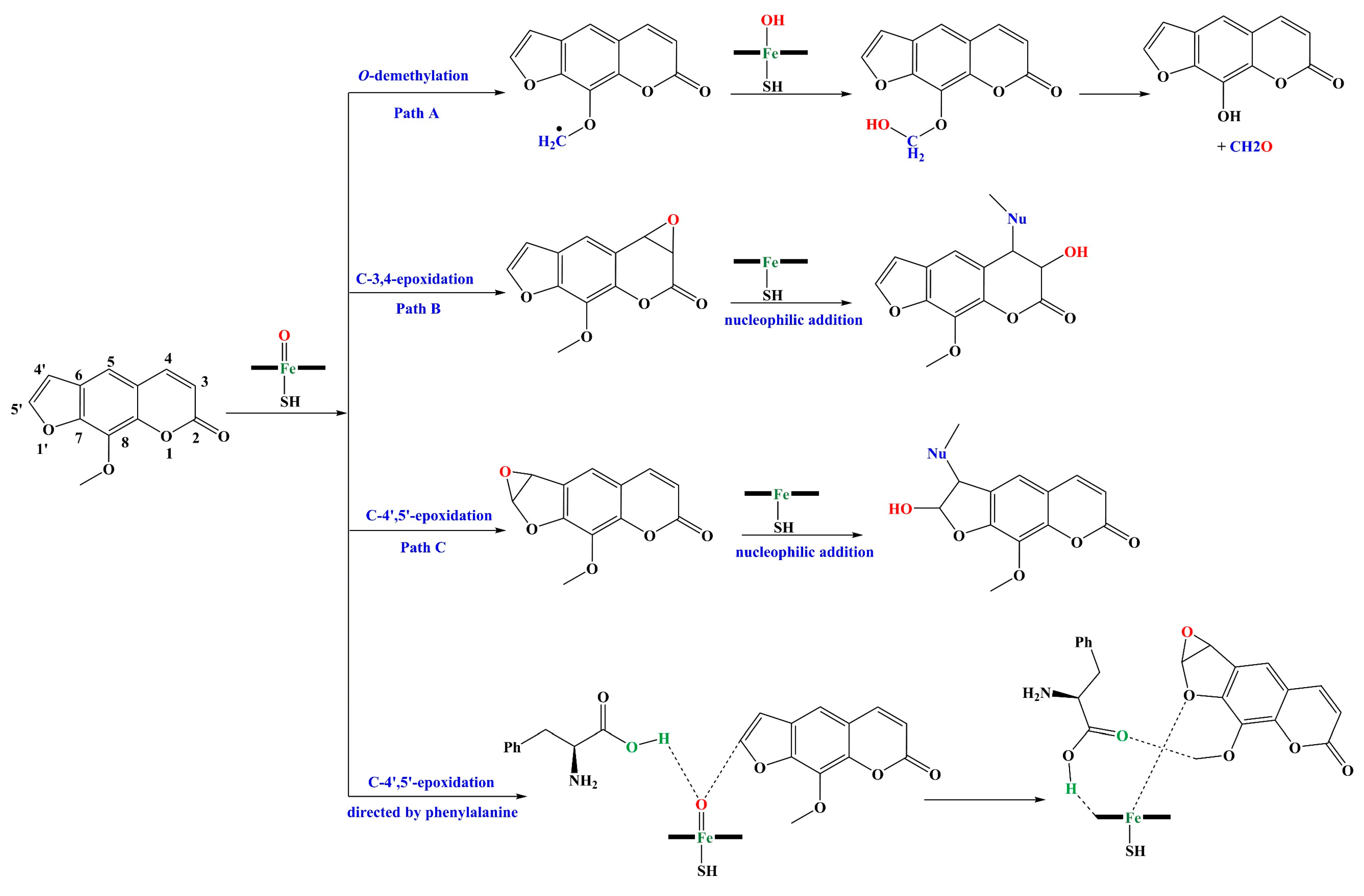 Molecules 29 01433 sch001