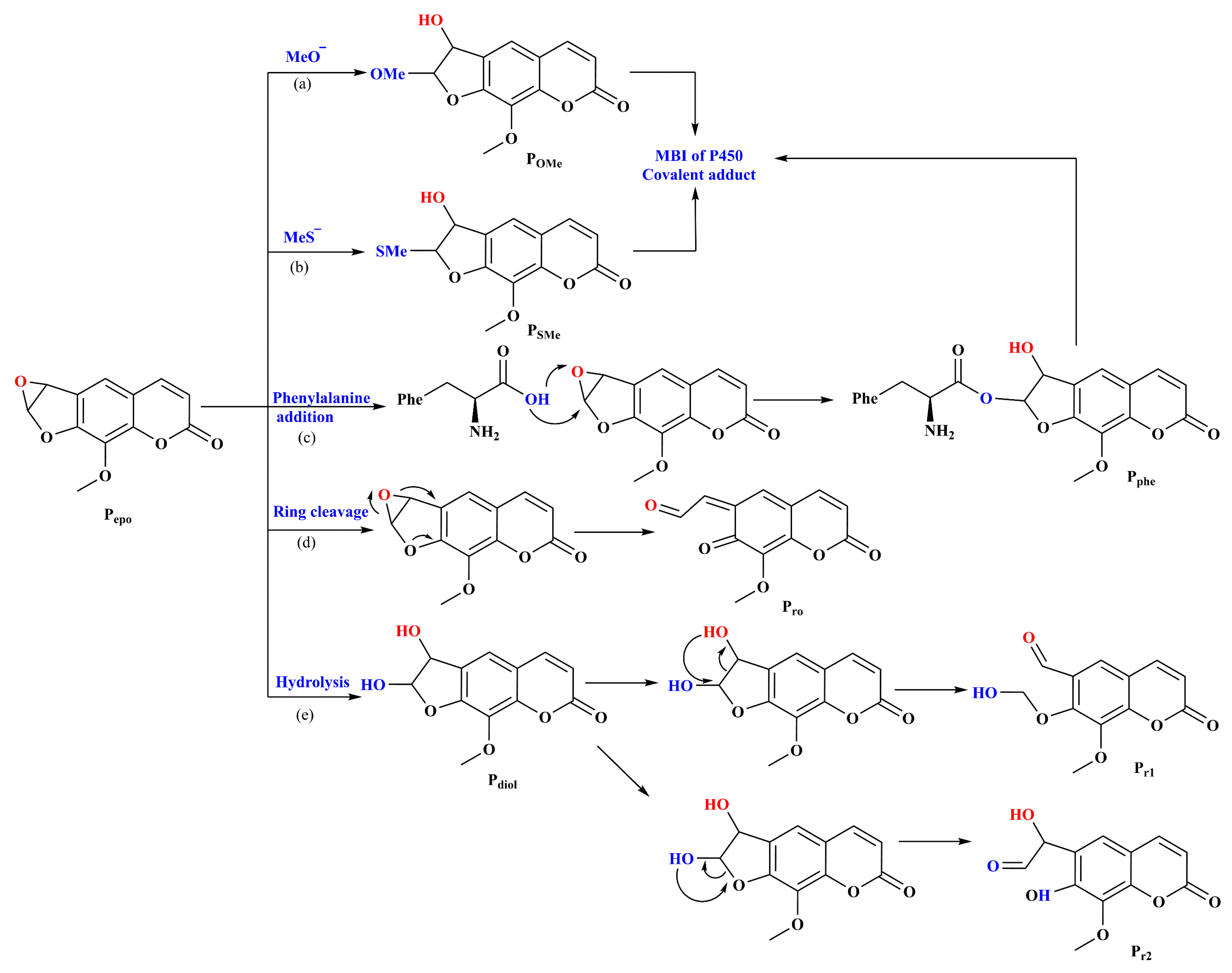 Molecules 29 01433 sch002