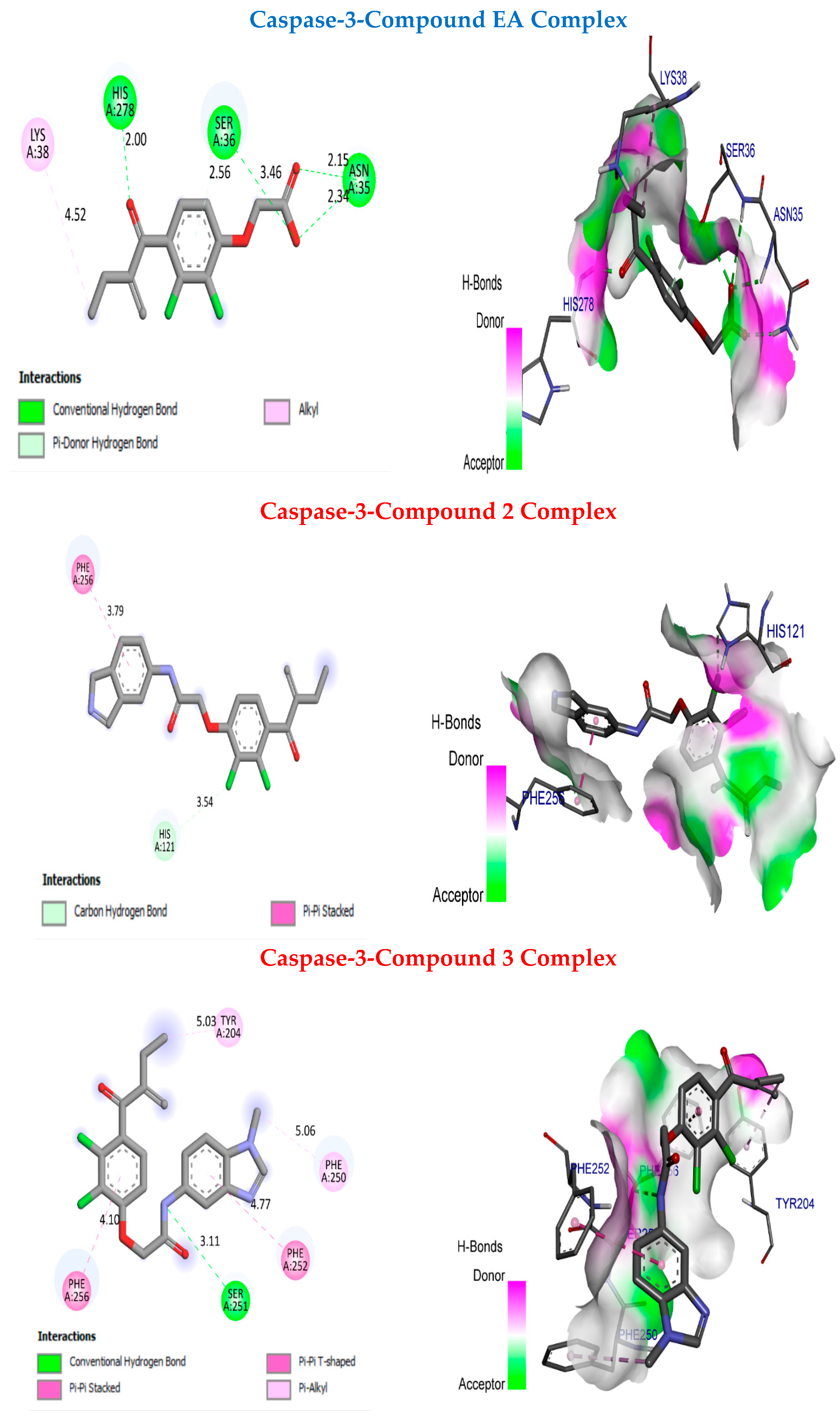Molecules 29 01437 g007
