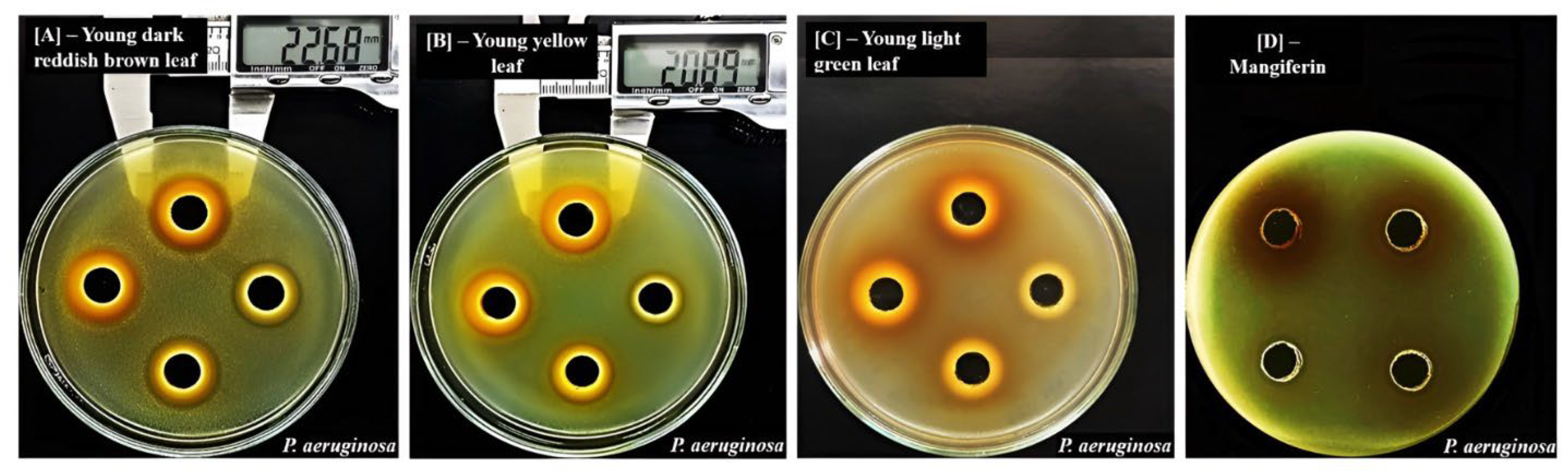 Molecules 29 01443 g004