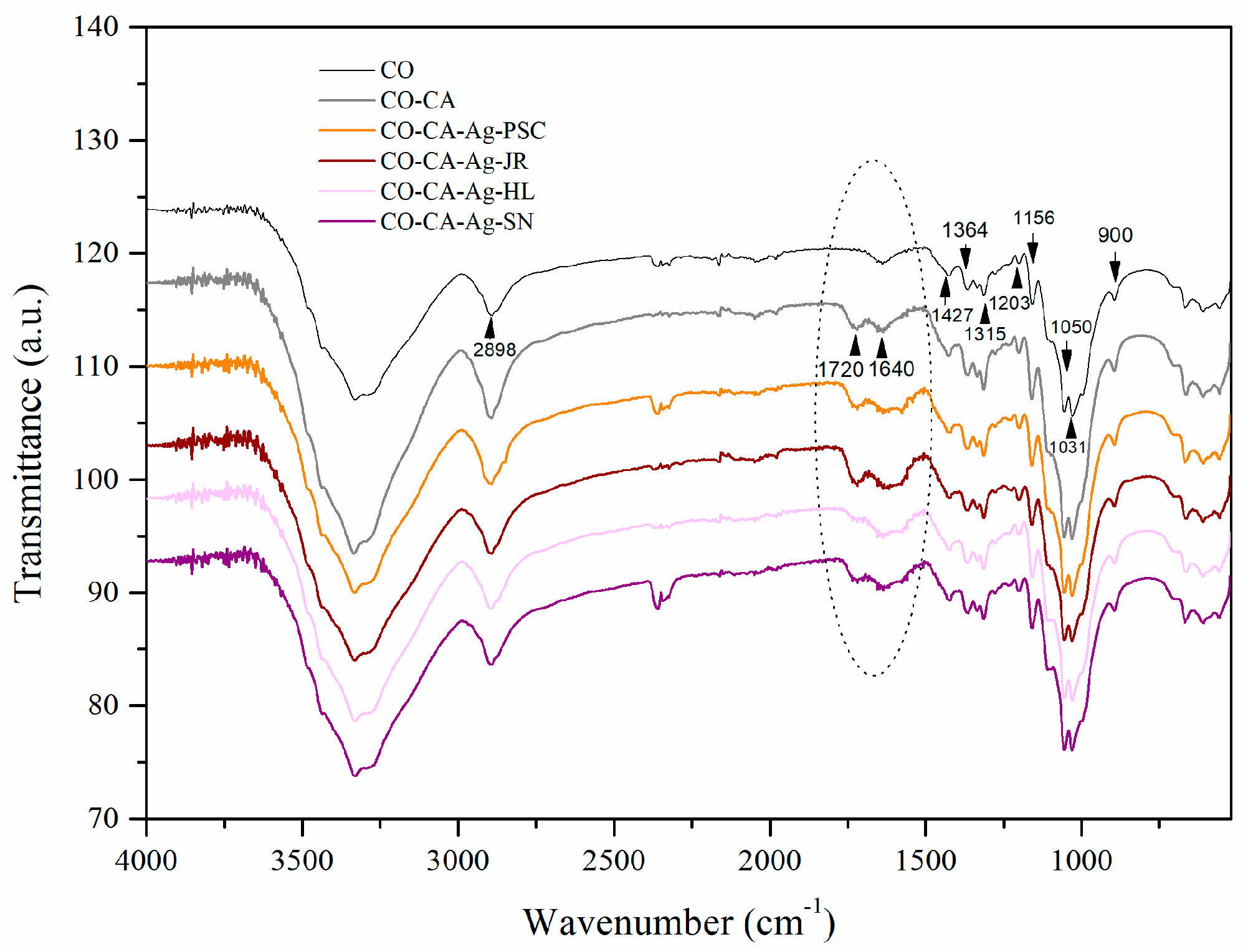 Molecules 29 01447 g001