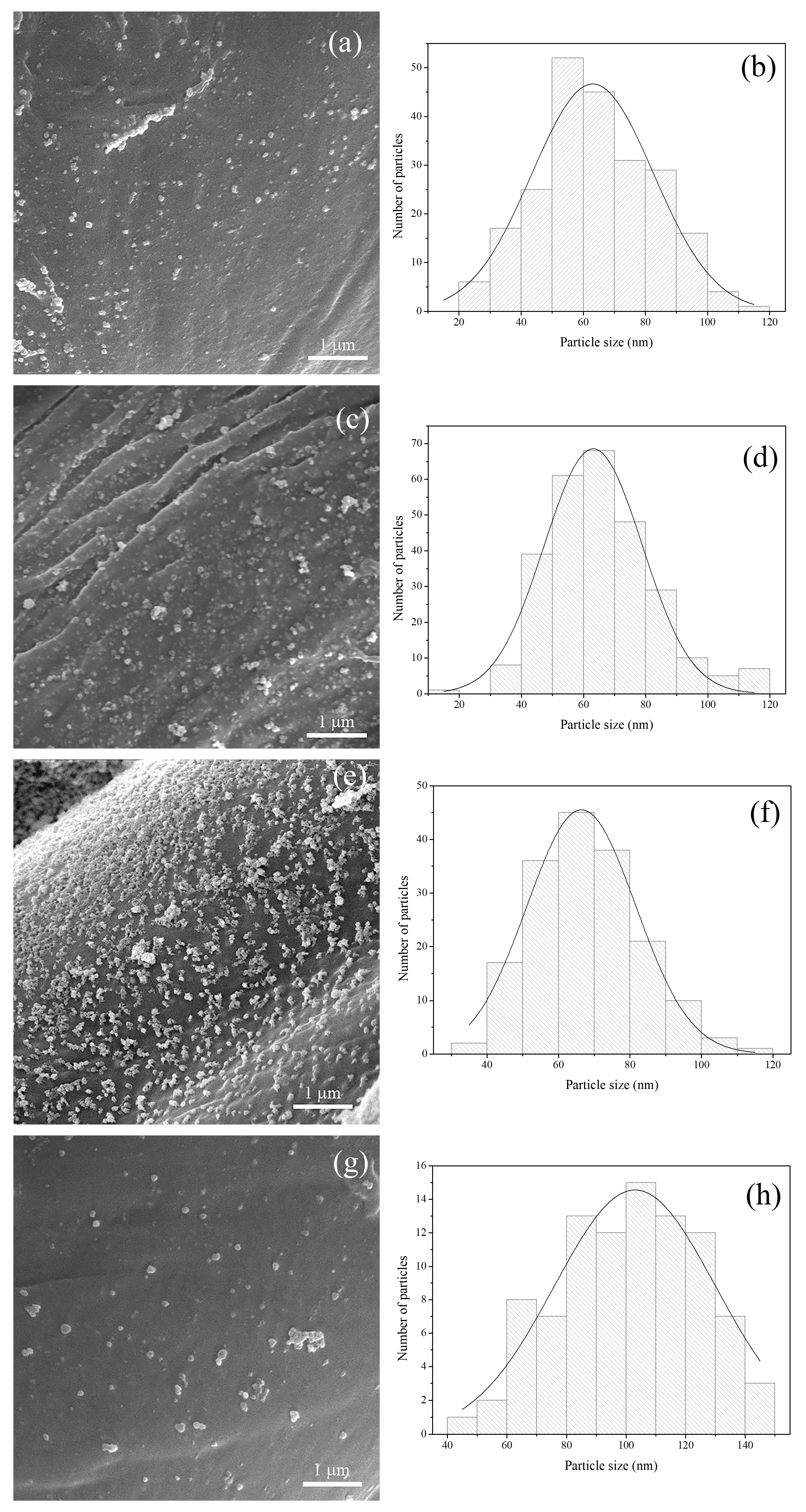 Molecules 29 01447 g006