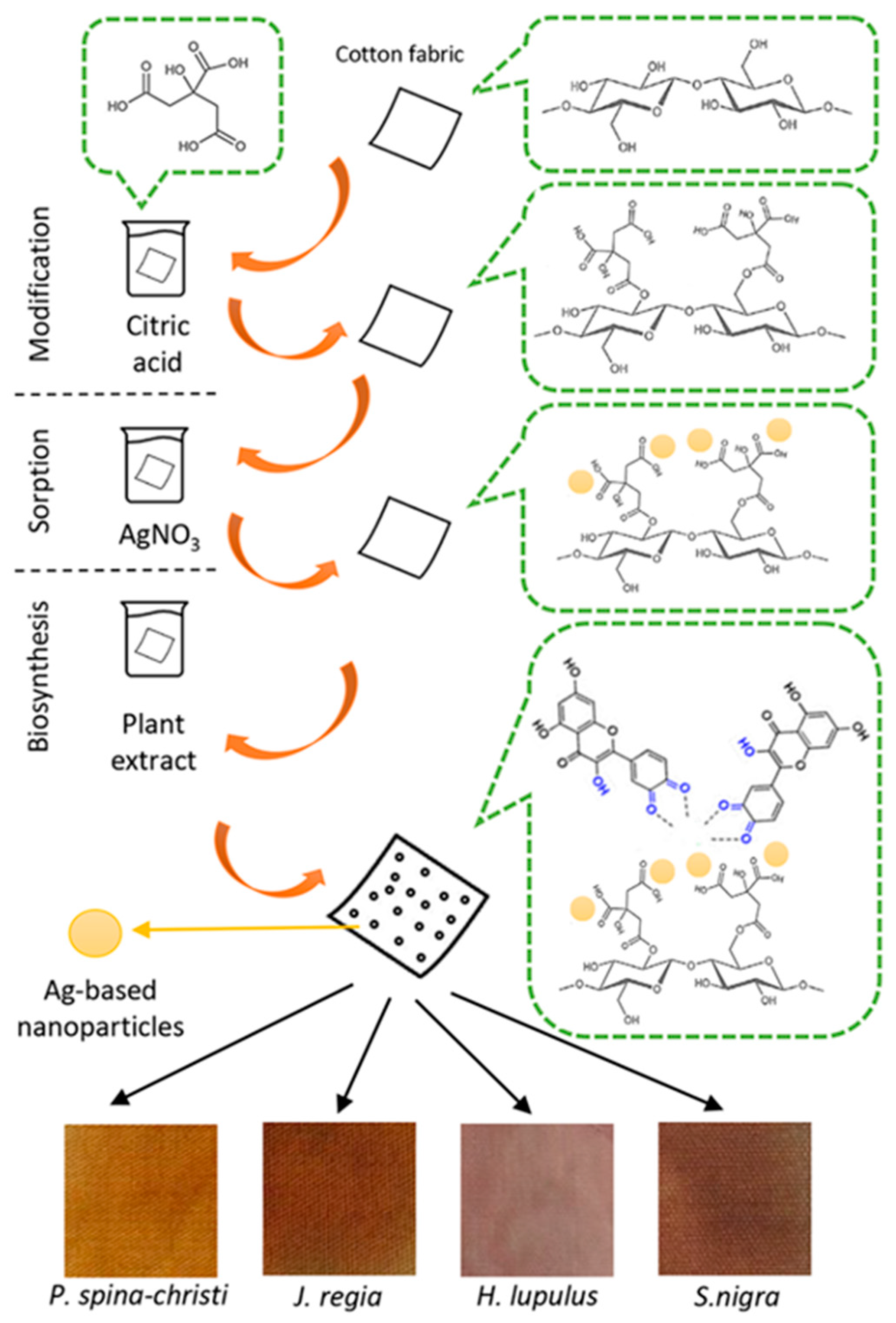 Molecules 29 01447 g009