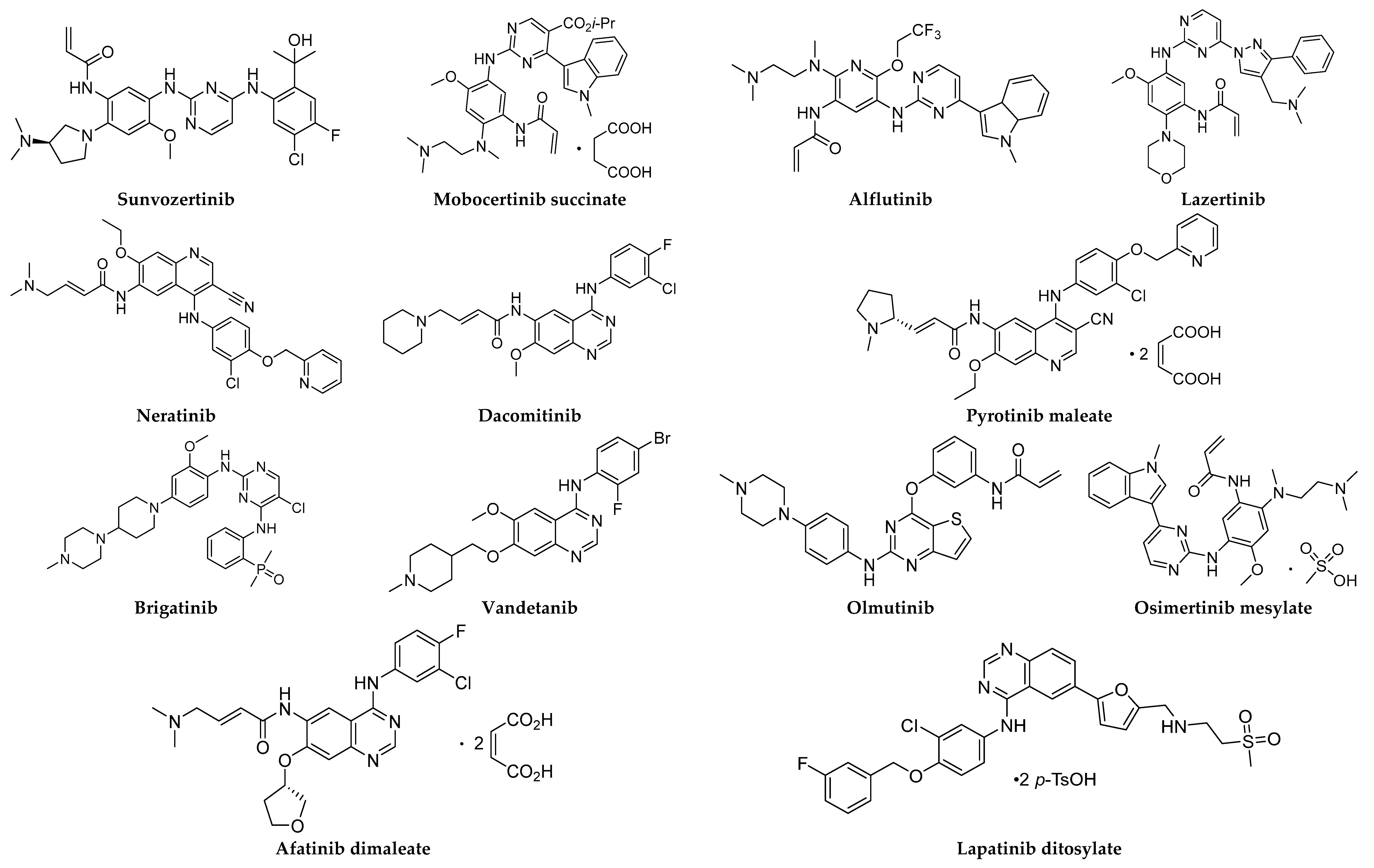 Molecules 29 01448 g001a