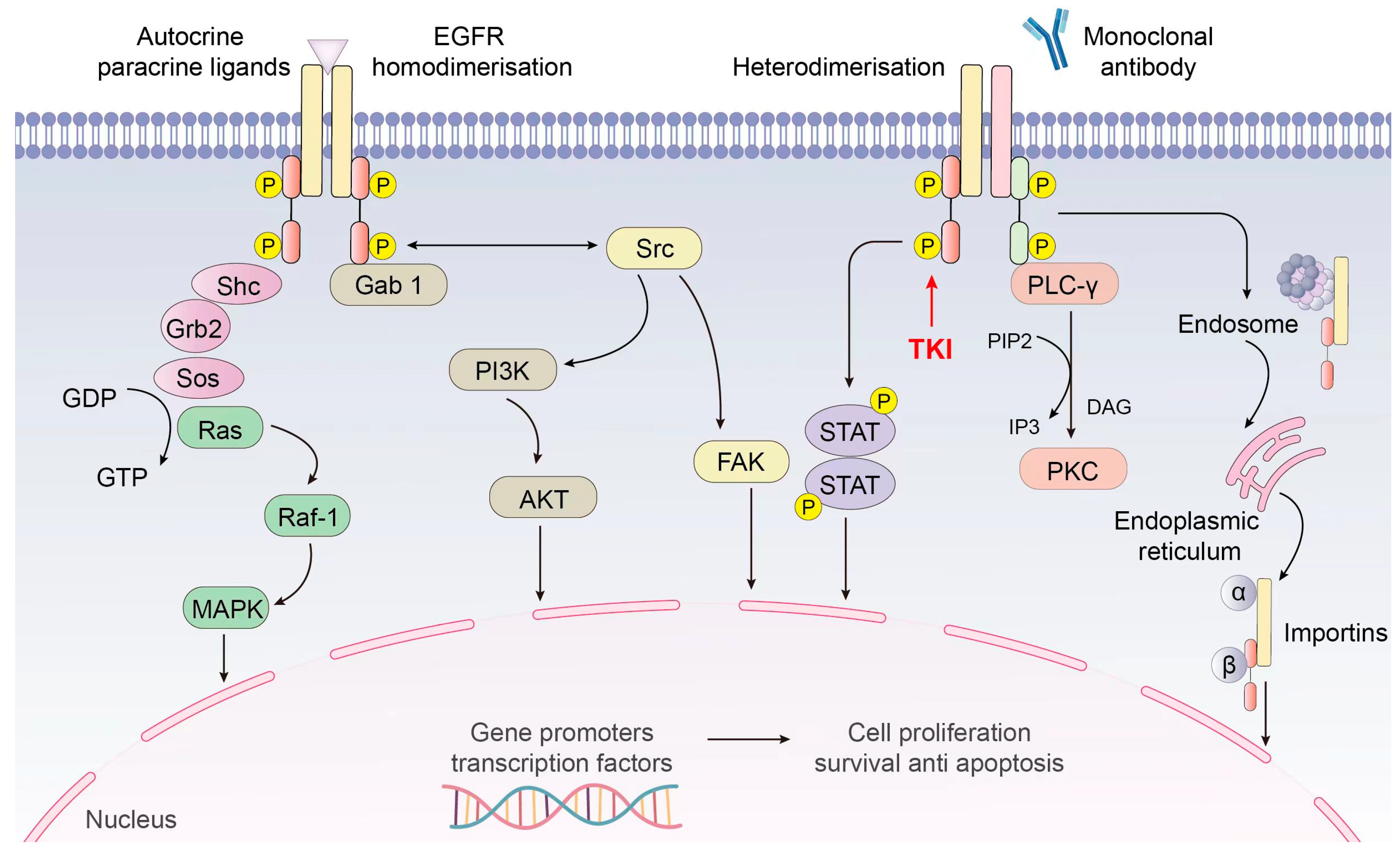 Molecules 29 01448 g002
