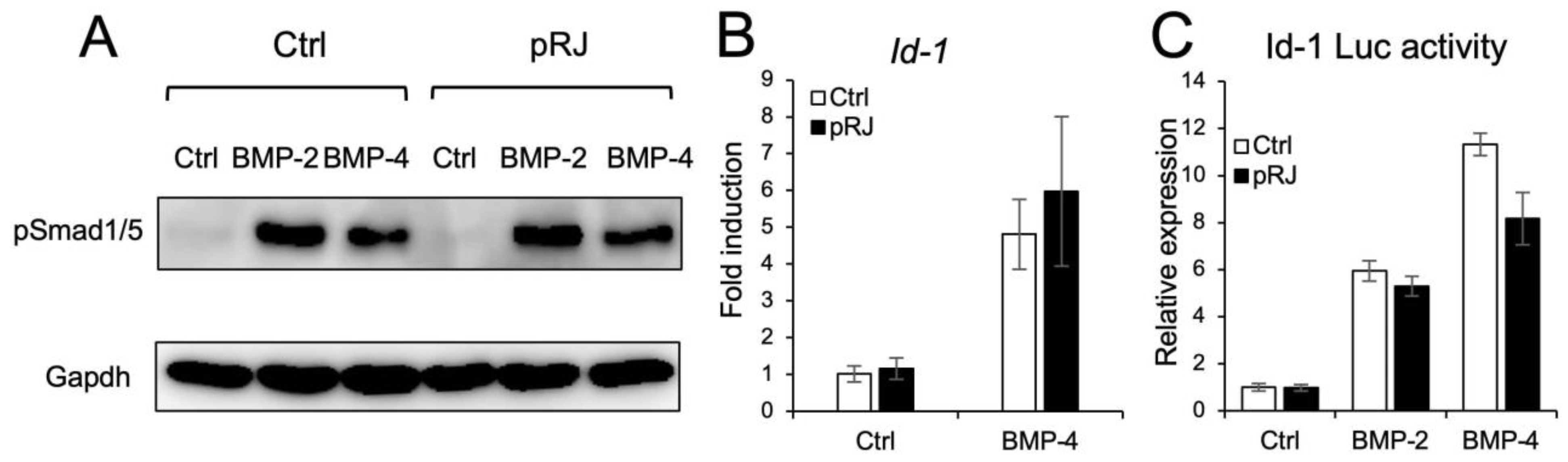 Molecules 29 01449 g003
