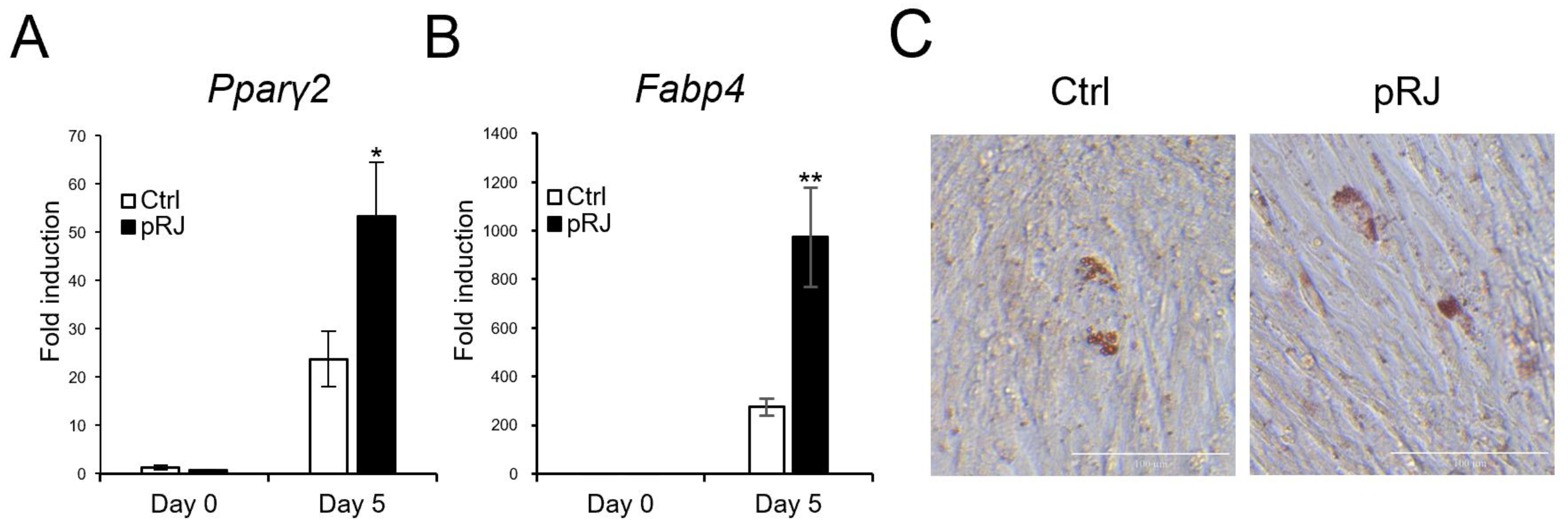 Molecules 29 01449 g004