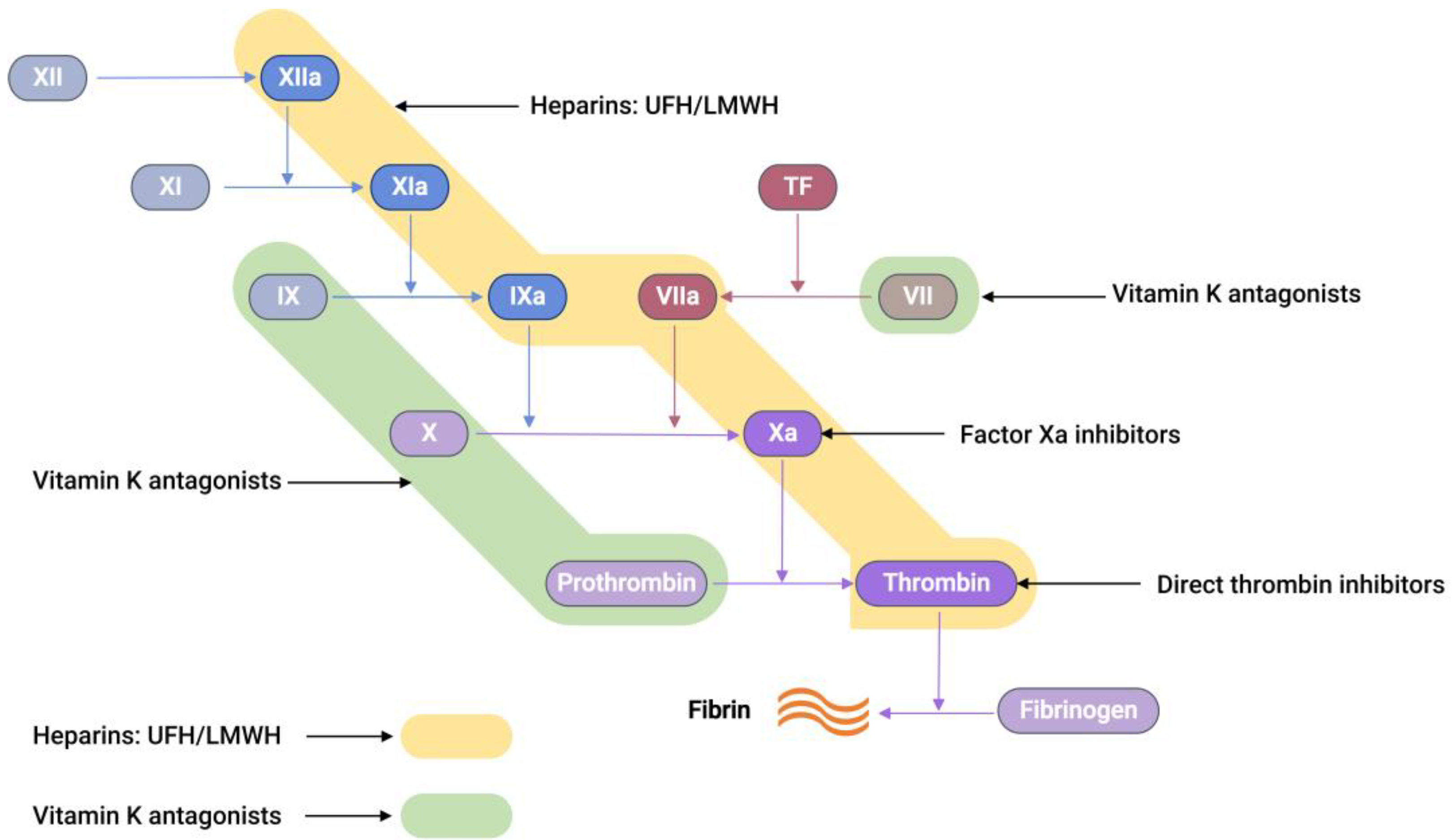 Molecules 29 01453 g002