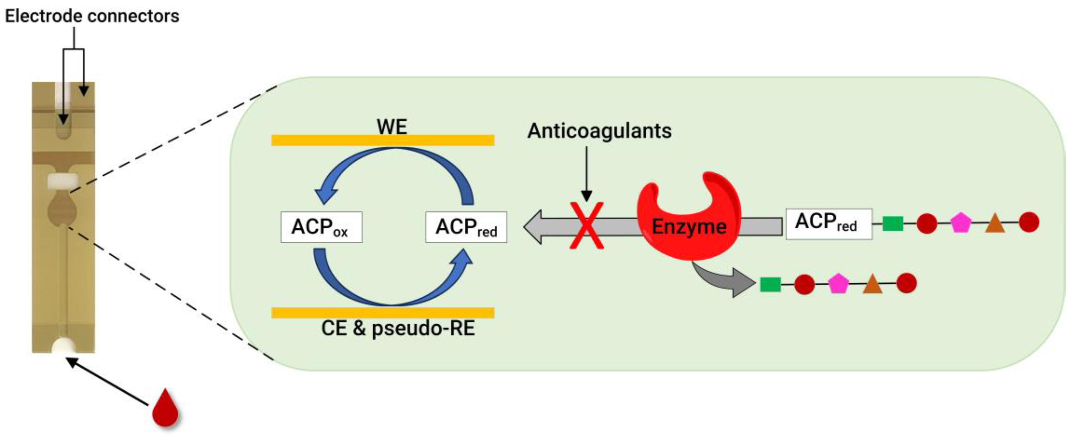 Molecules 29 01453 g003