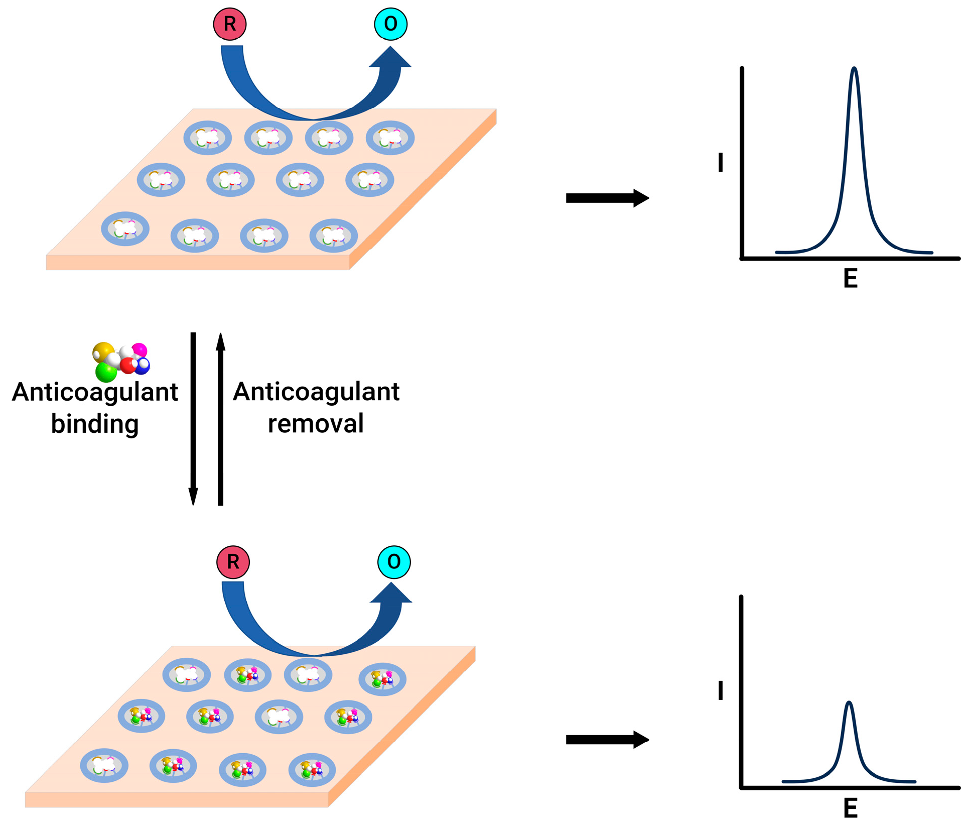 Molecules 29 01453 g004
