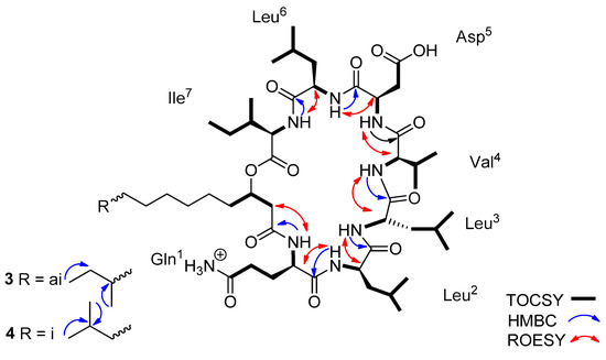 Molecules 29 01458 g003