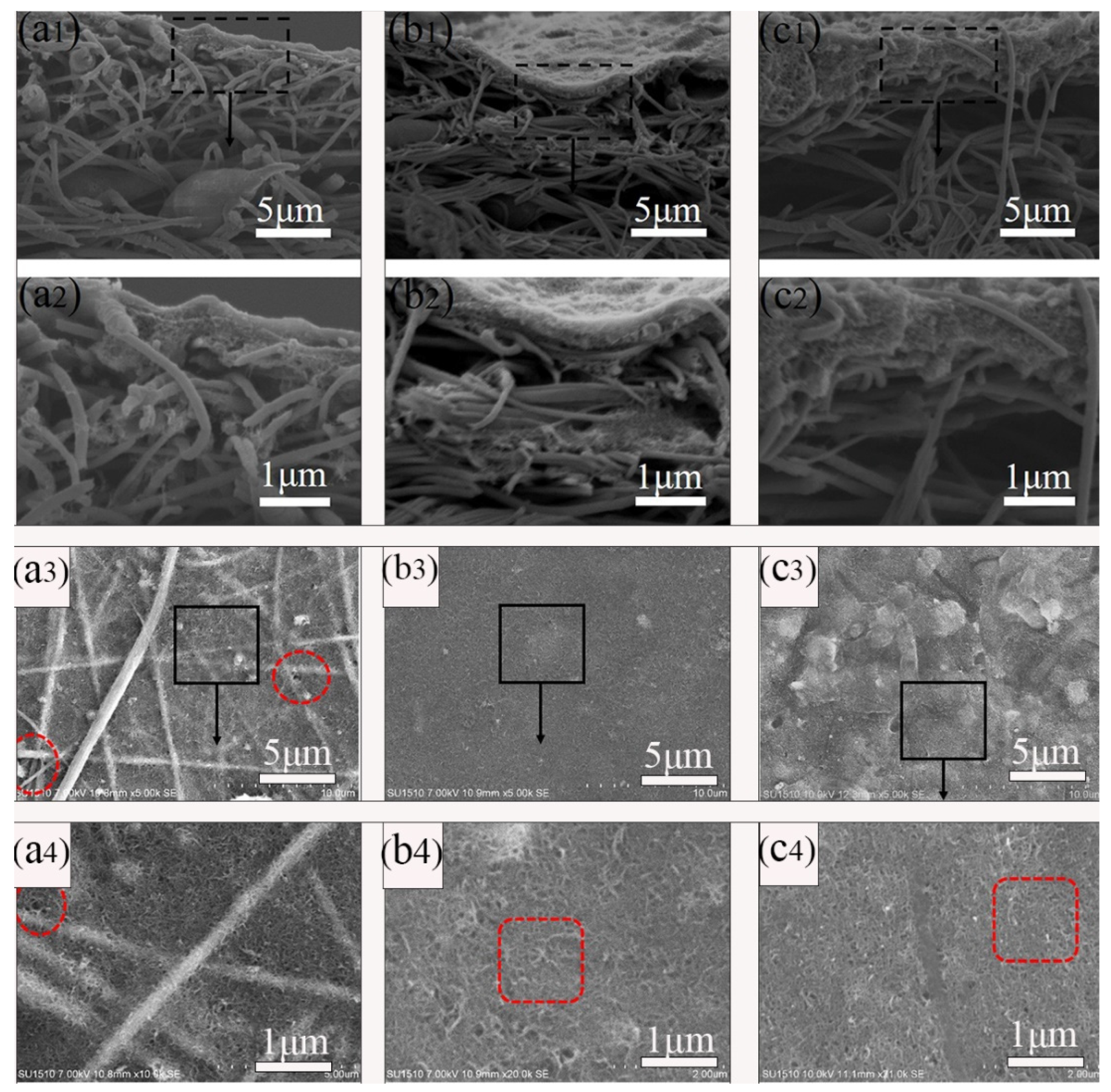 Molecules 29 01460 g002