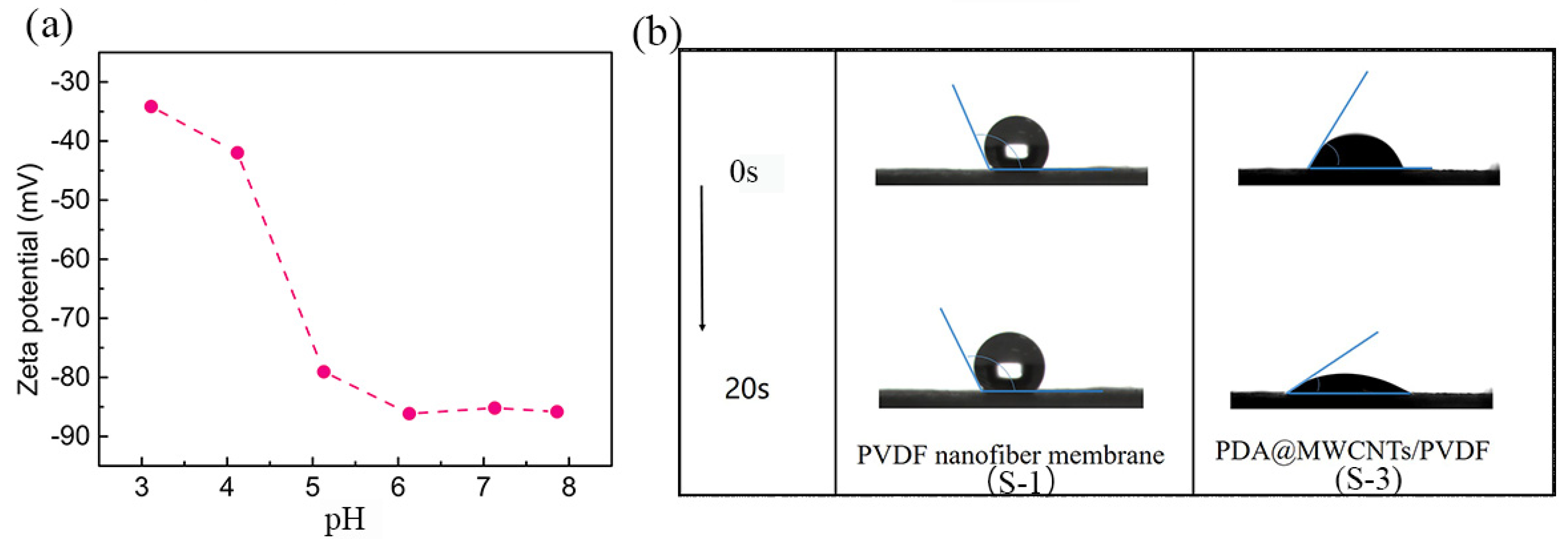 Molecules 29 01460 g003