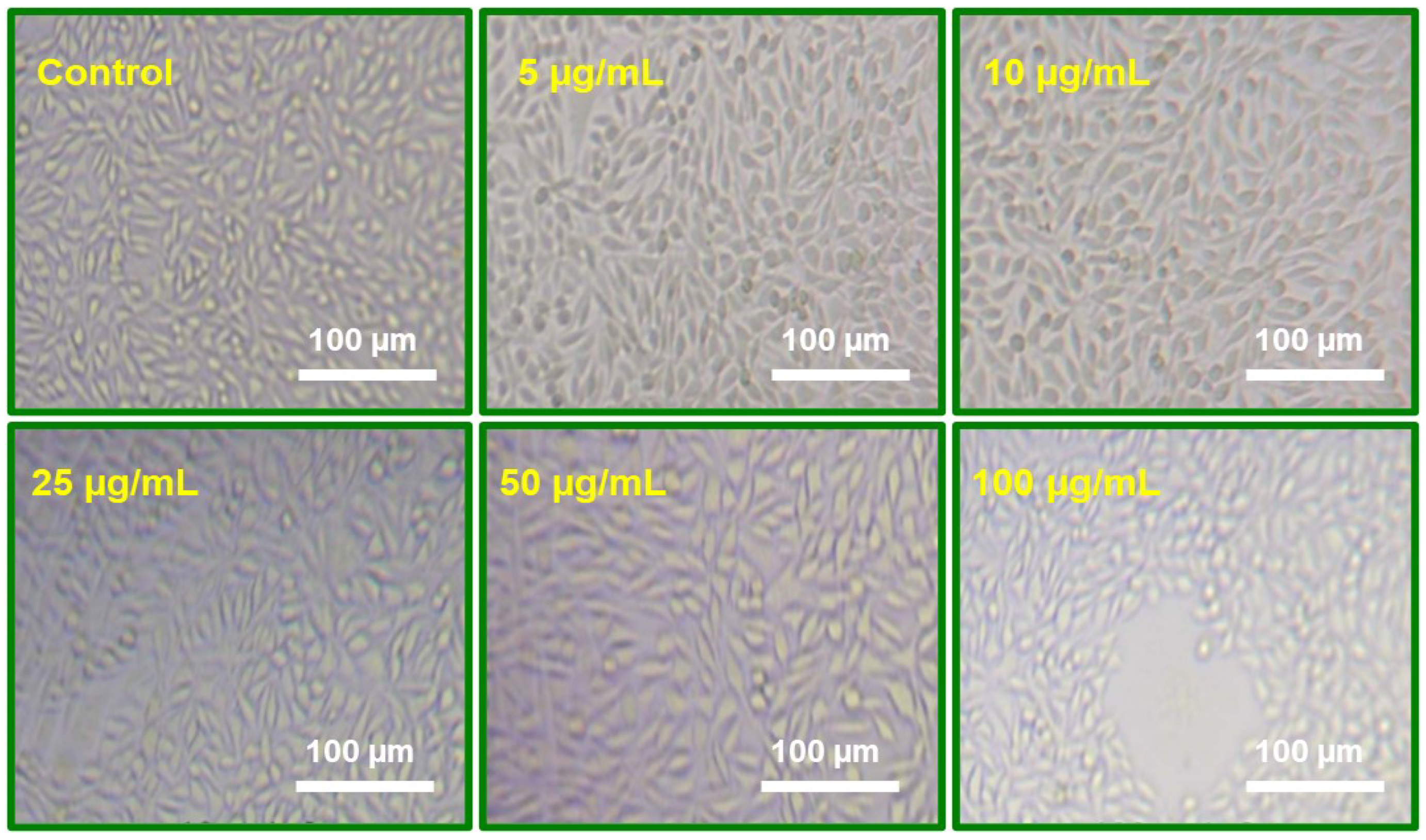 Molecules 29 01464 g009 Molecules 29 01464 g009